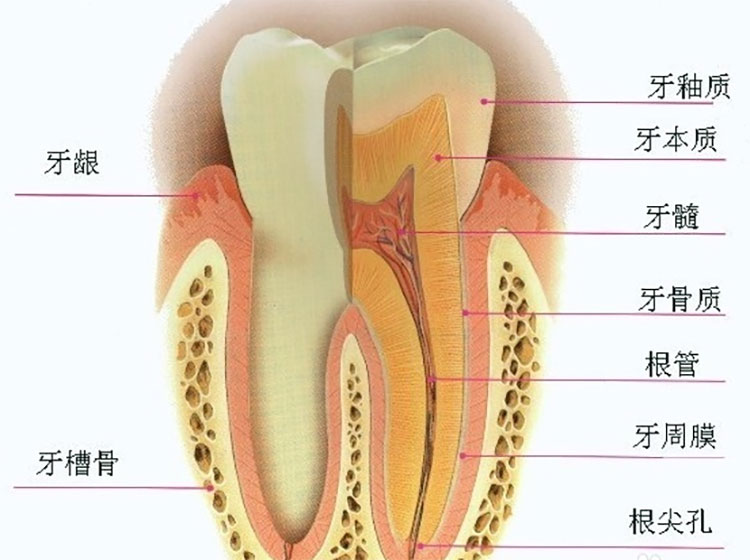 Teeth_3.jpg