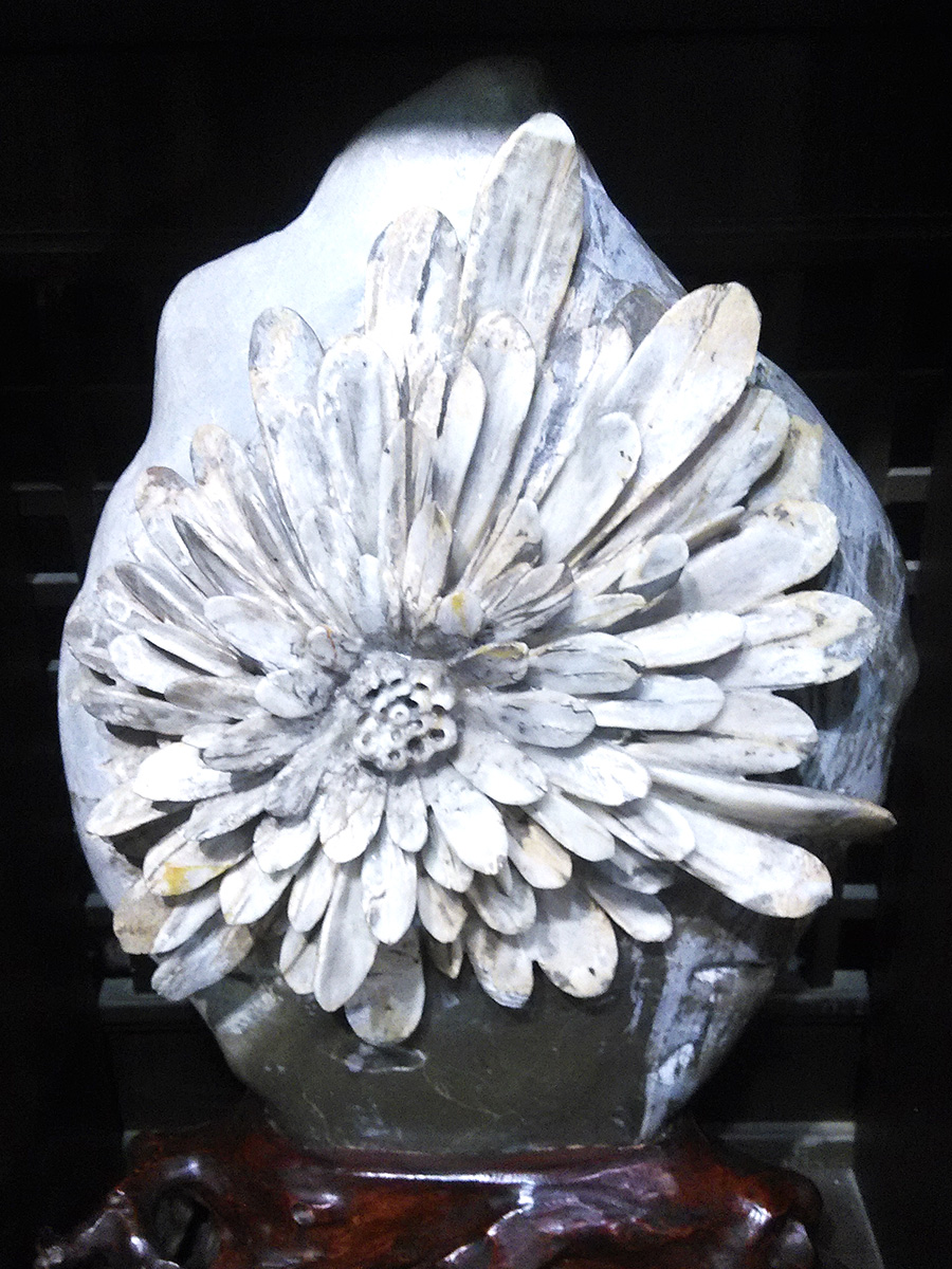 Flower_1.jpg