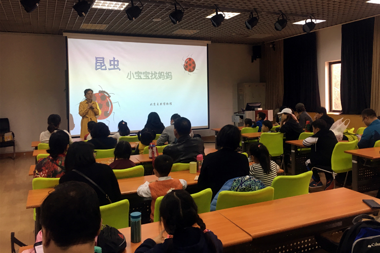 1“昆虫：小宝宝找妈妈”科普活动x.jpg