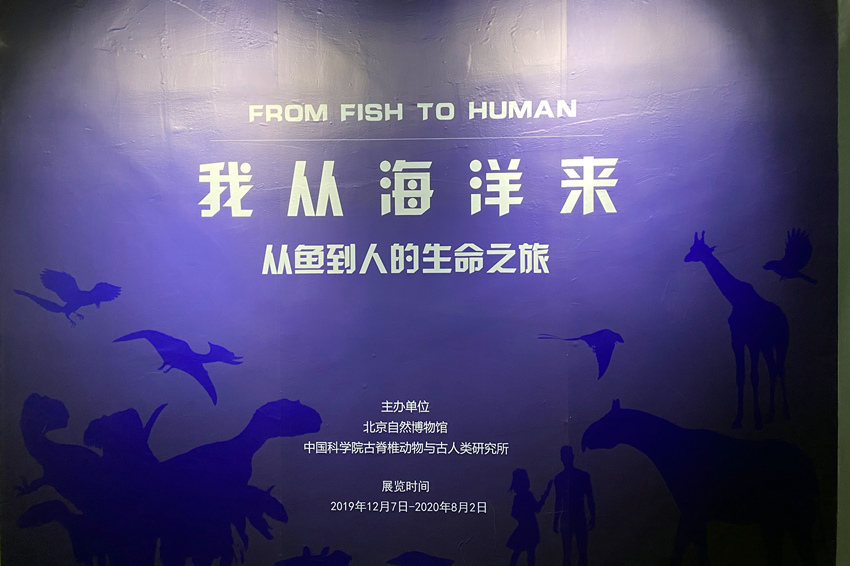 IMG1206_副本.jpg