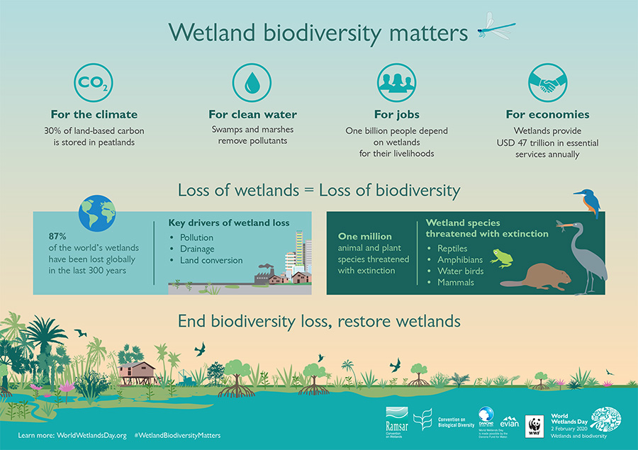 WetlandsDay_1.jpg