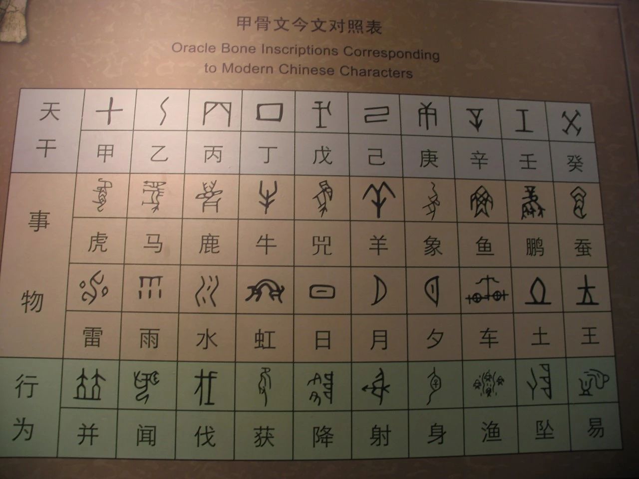 JiaGu_06.jpg