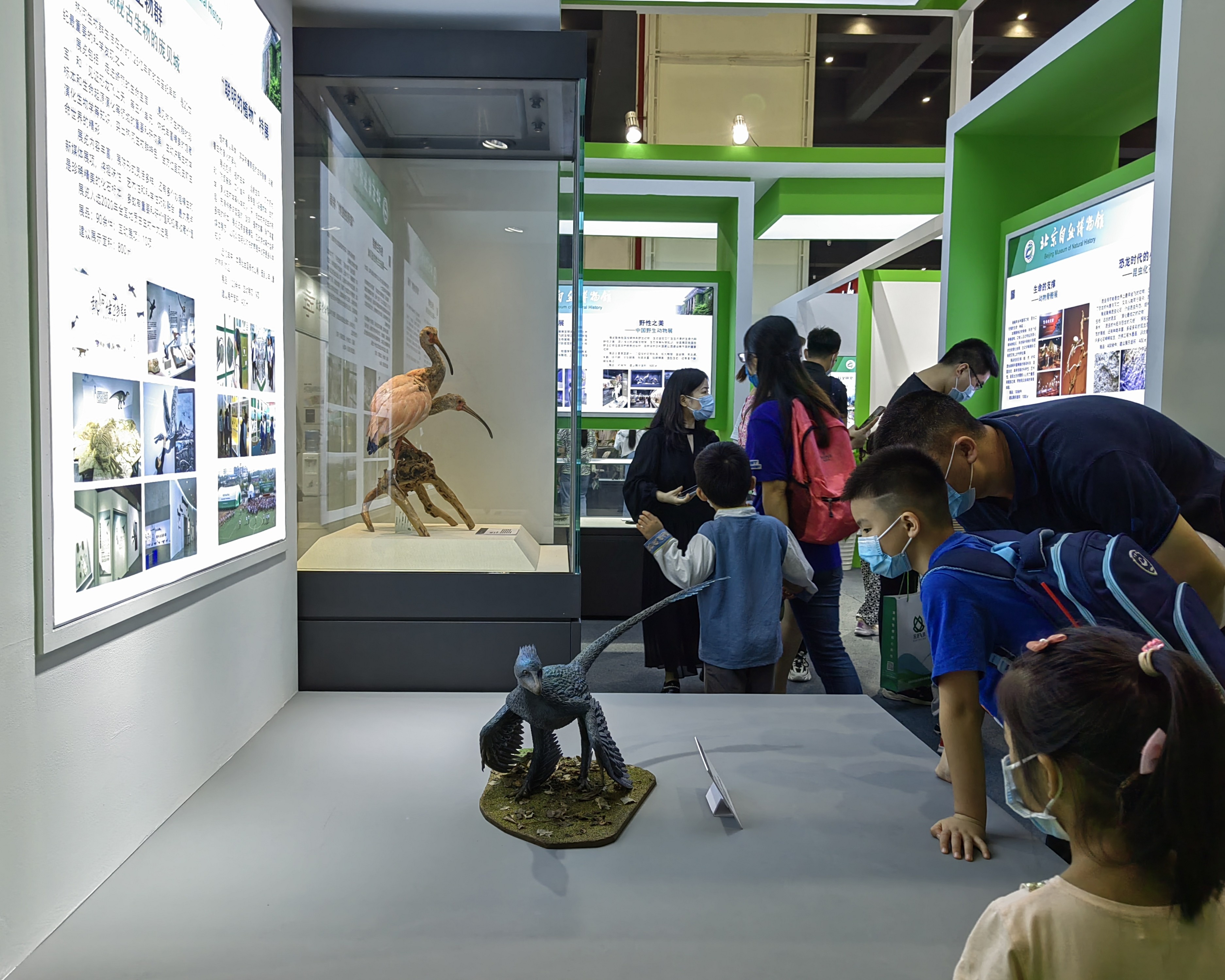 图1北京自然博物馆精品展示区.jpg
