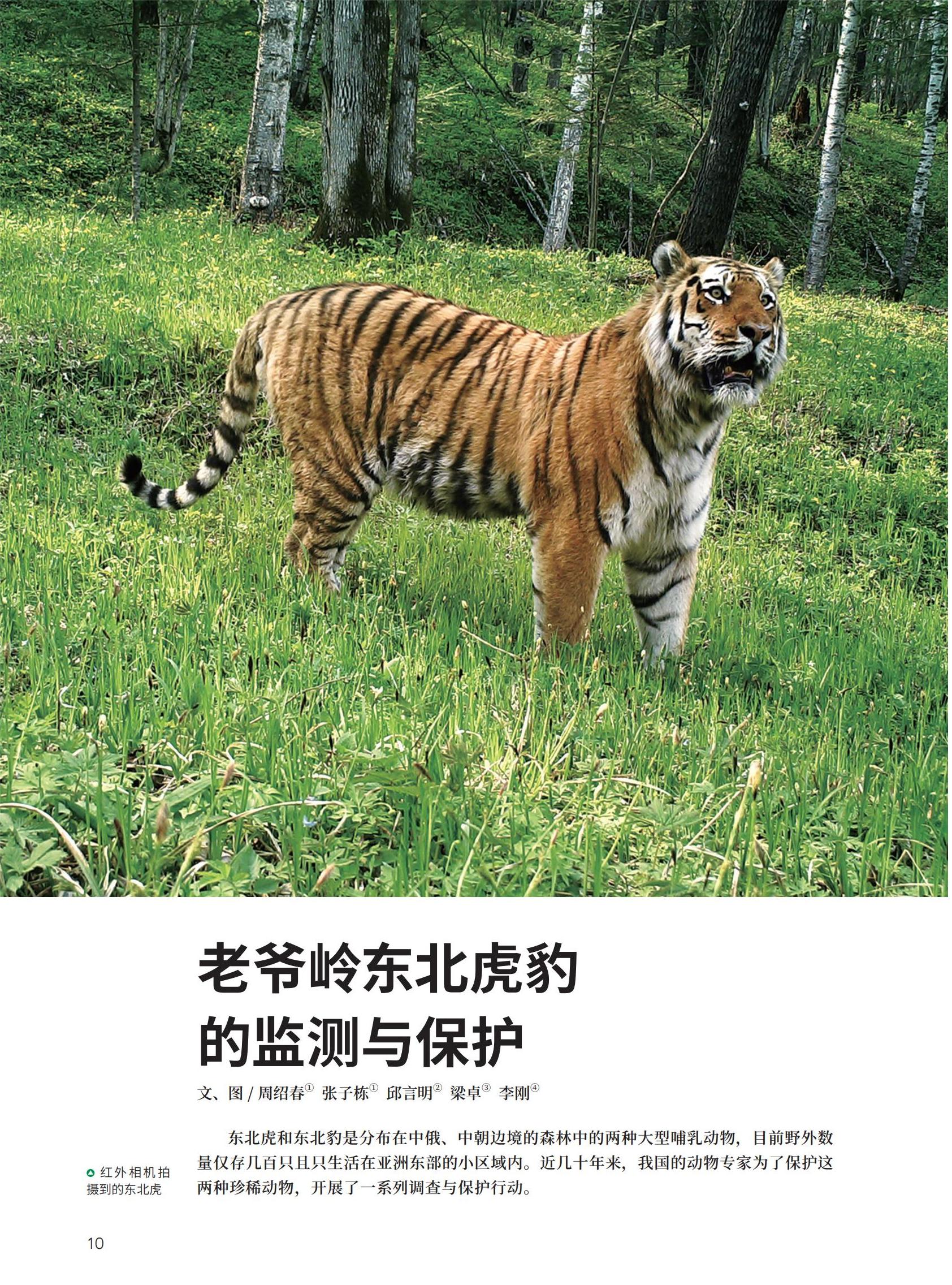 05-04-21新新新-s_06.jpg