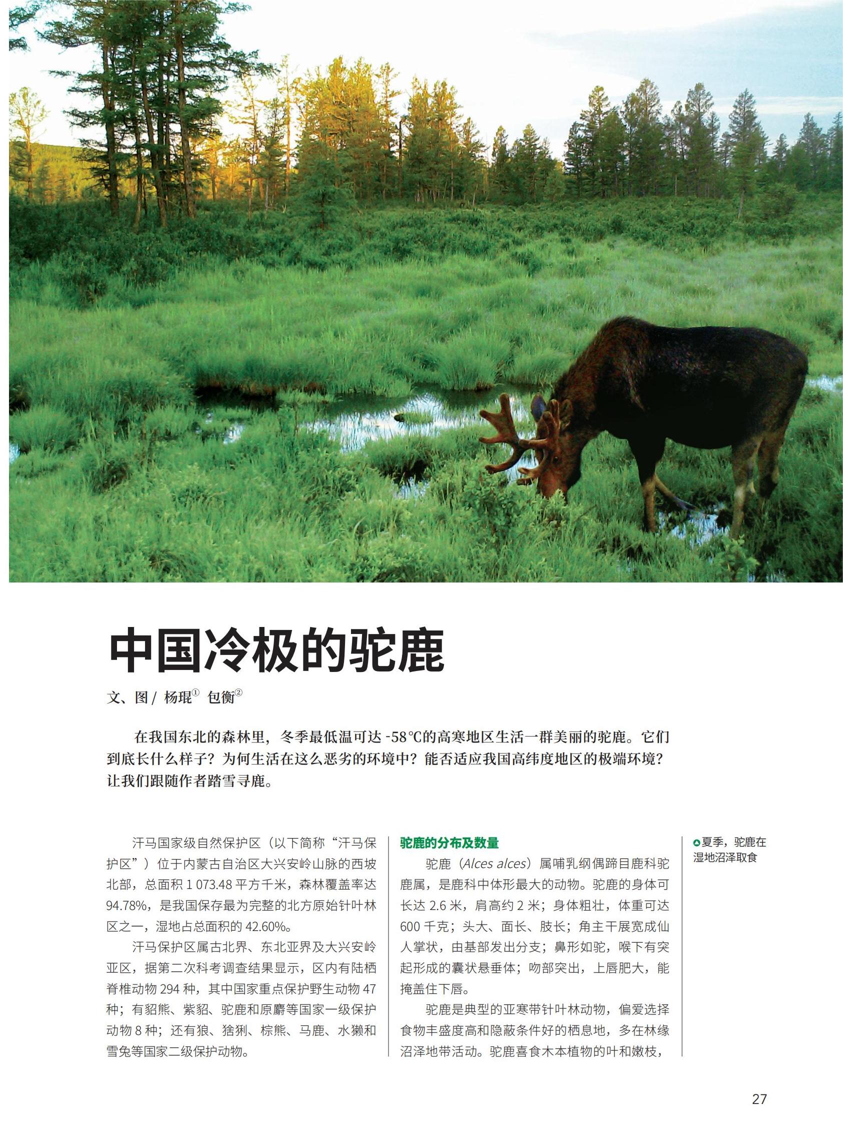 06-22-35新新新-s_05.jpg