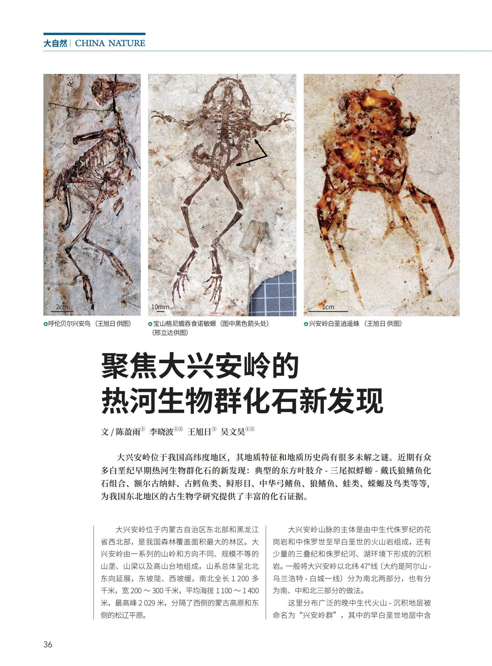 07-36-57新新新-s_00.jpg