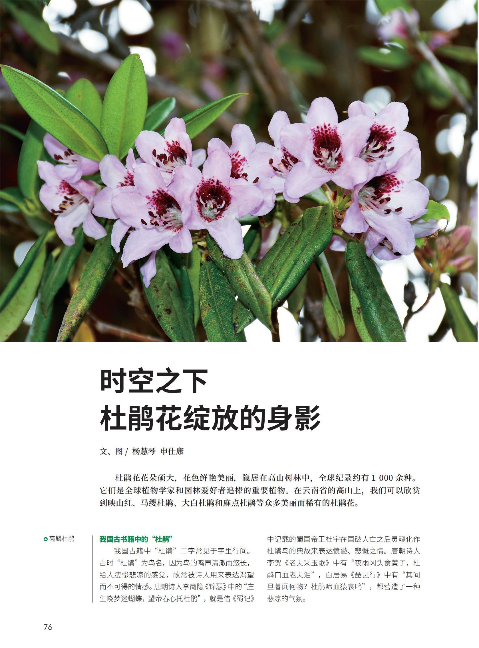 09-72-F3新新新-S_04.jpg