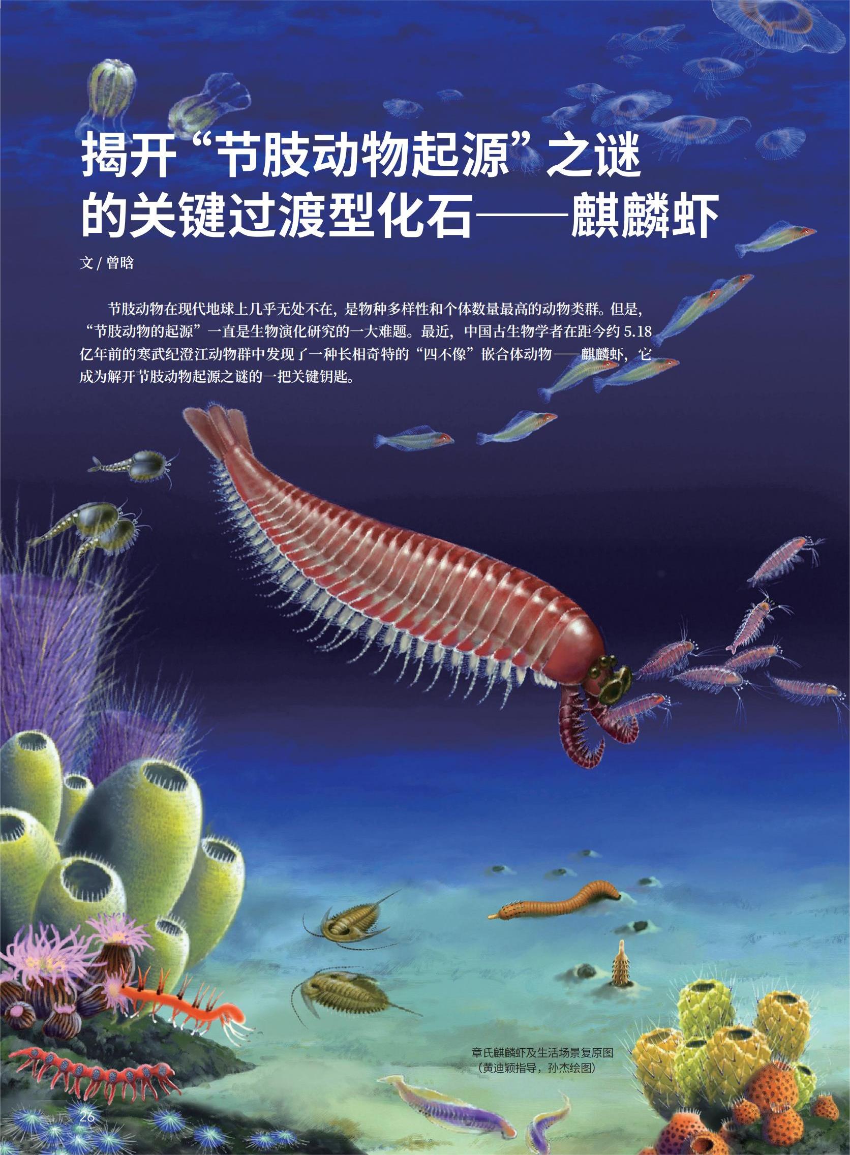 26-29揭开“节肢动物起源”之谜的关键过渡型化石——麒麟虾_00.jpg