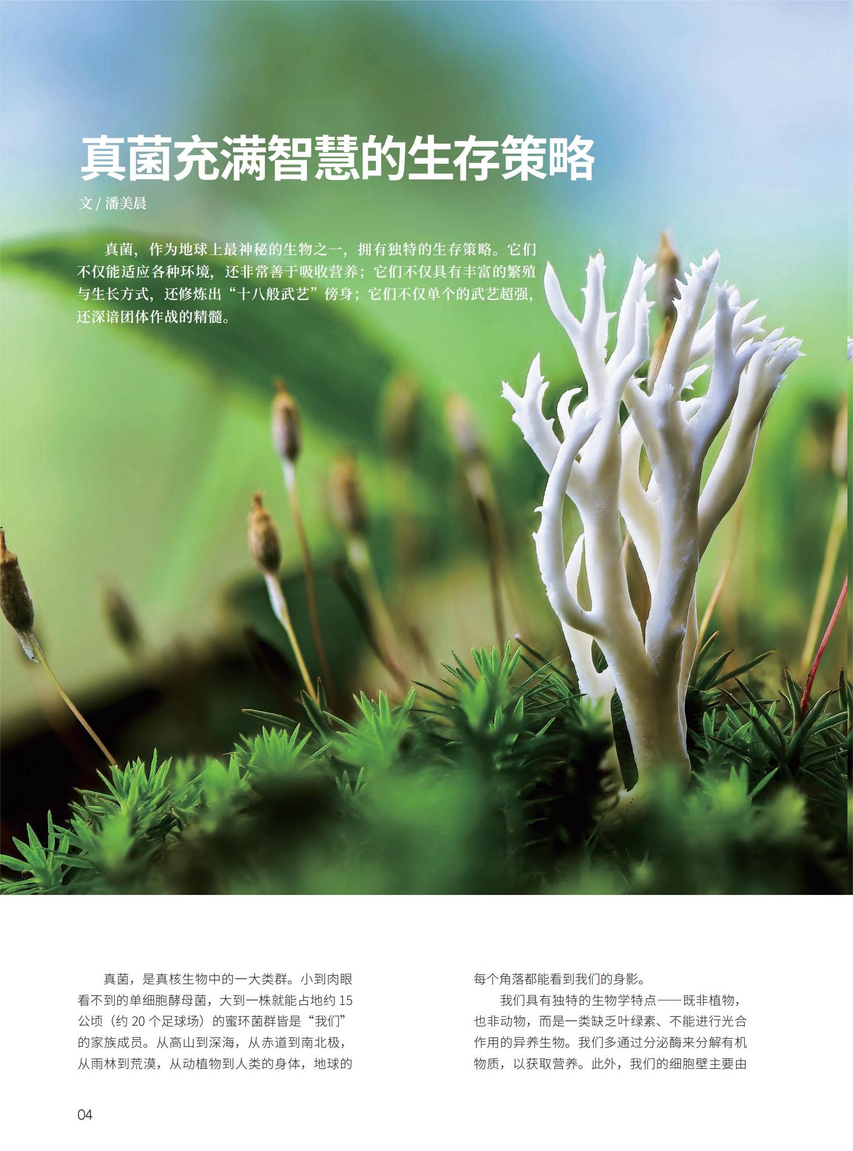 04真菌充满智慧的生存策略-潘美晨_00.jpg