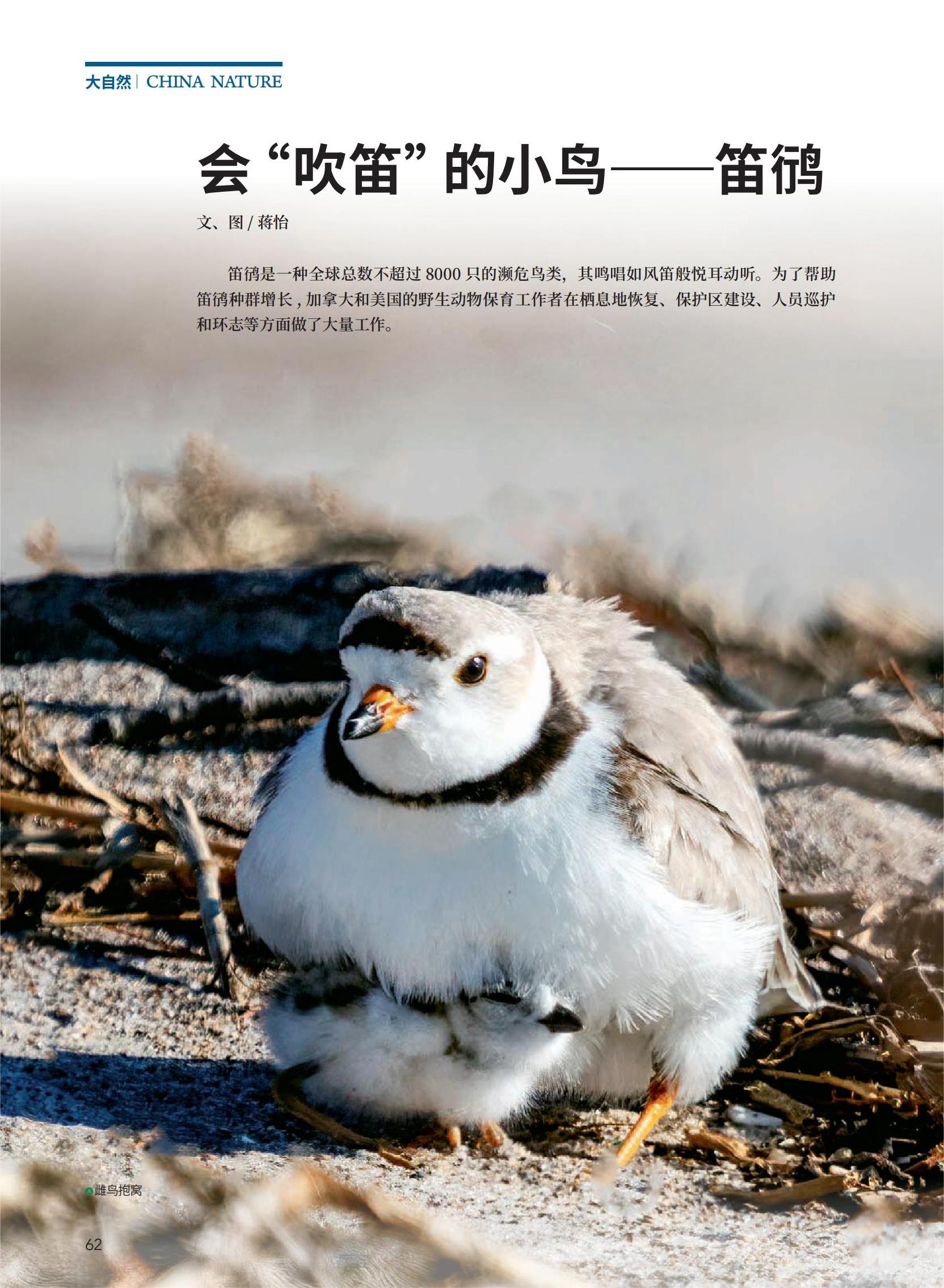 2021-3印刷版_64.jpg