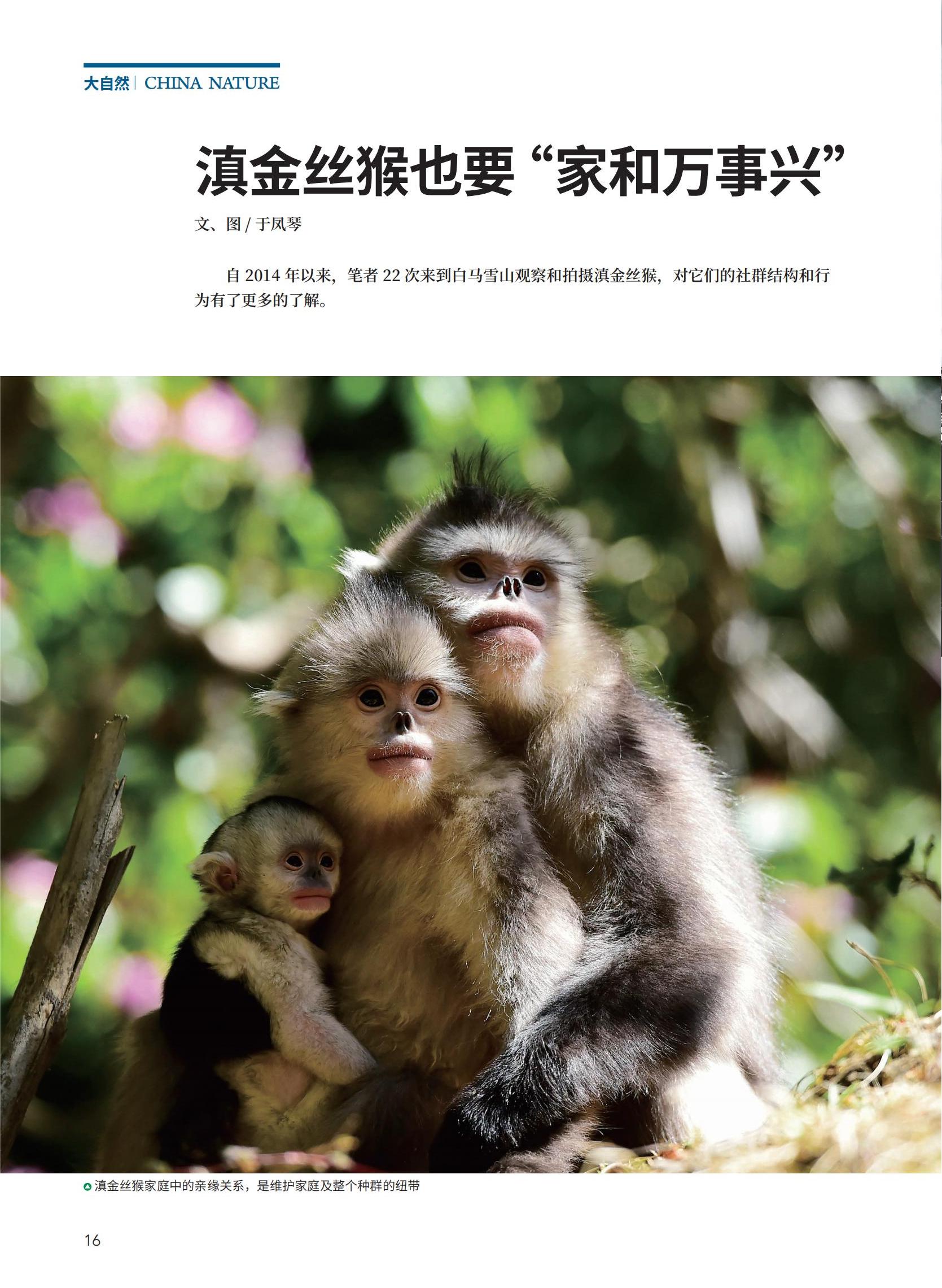16-31新新_00.jpg