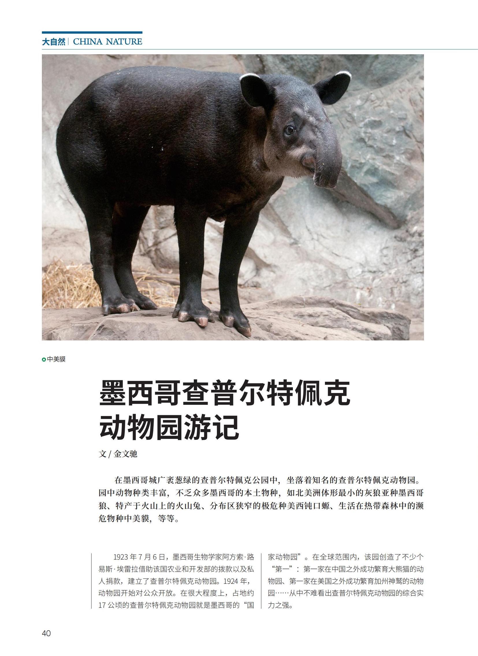 32-45新新_08.jpg