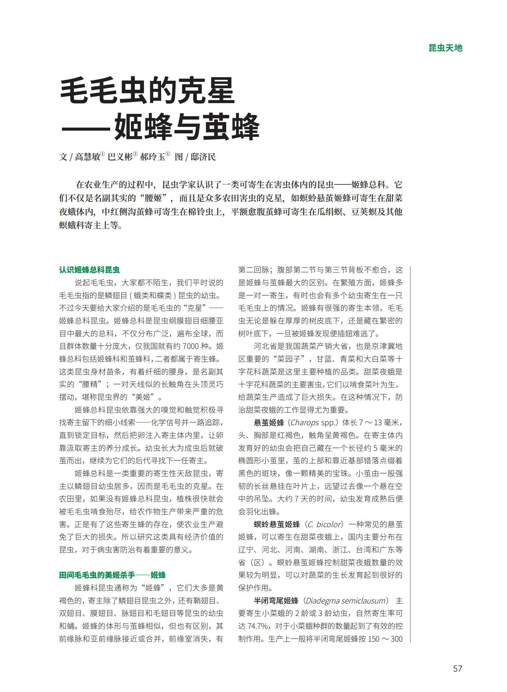 52-59新新新新(1)_05.jpg