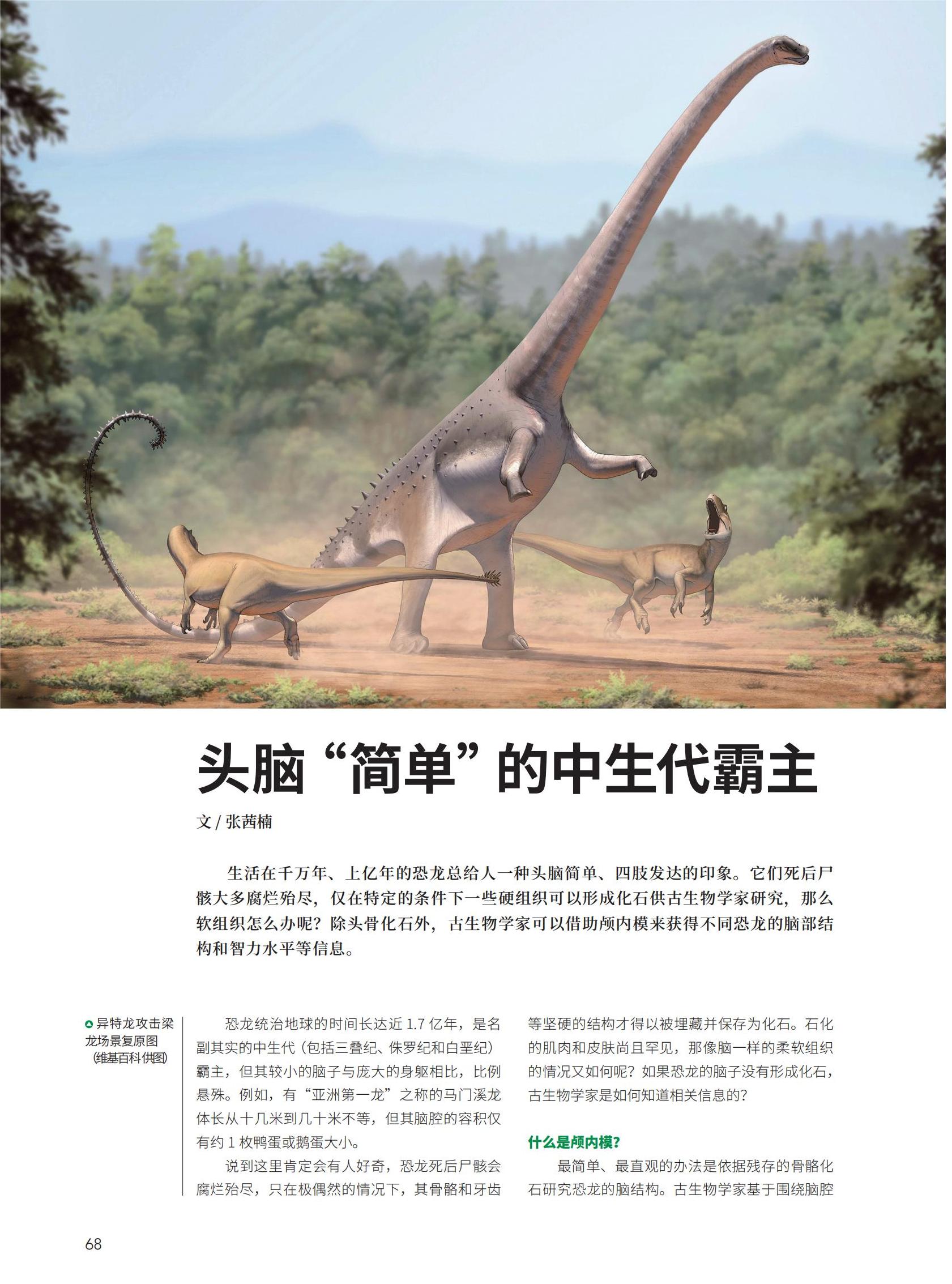 62-F3新新新(1)_06.jpg