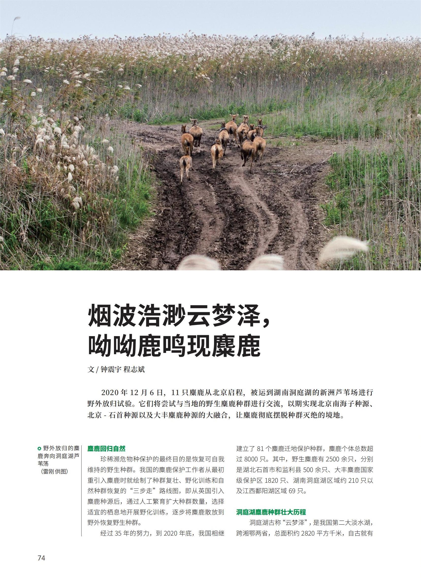 62-F3新新新(1)_12.jpg