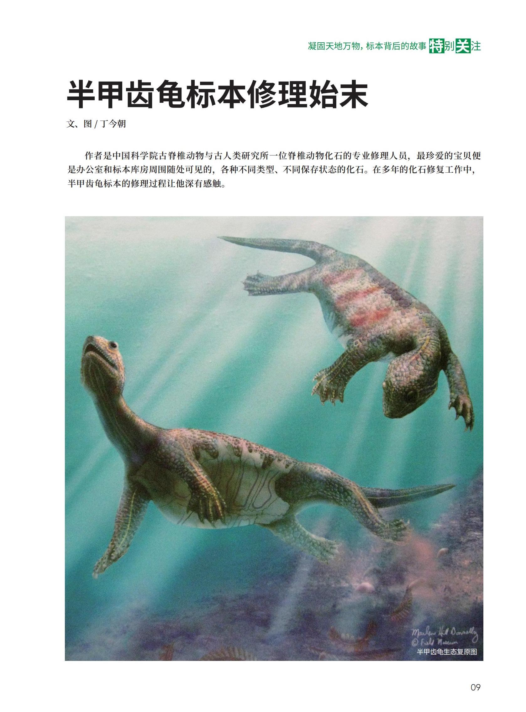 06-31新新新_03.jpg