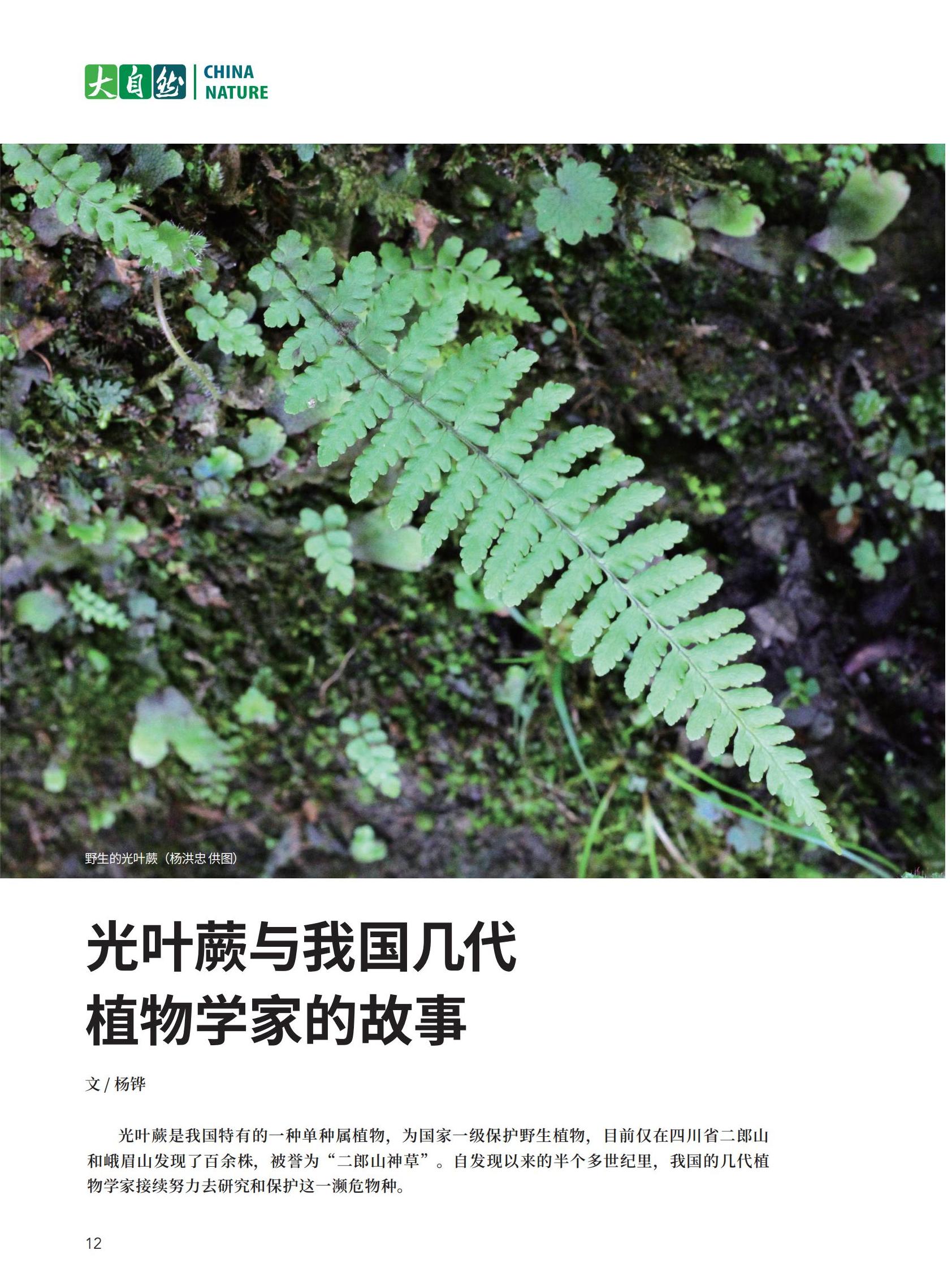 06-31新新新_06.jpg
