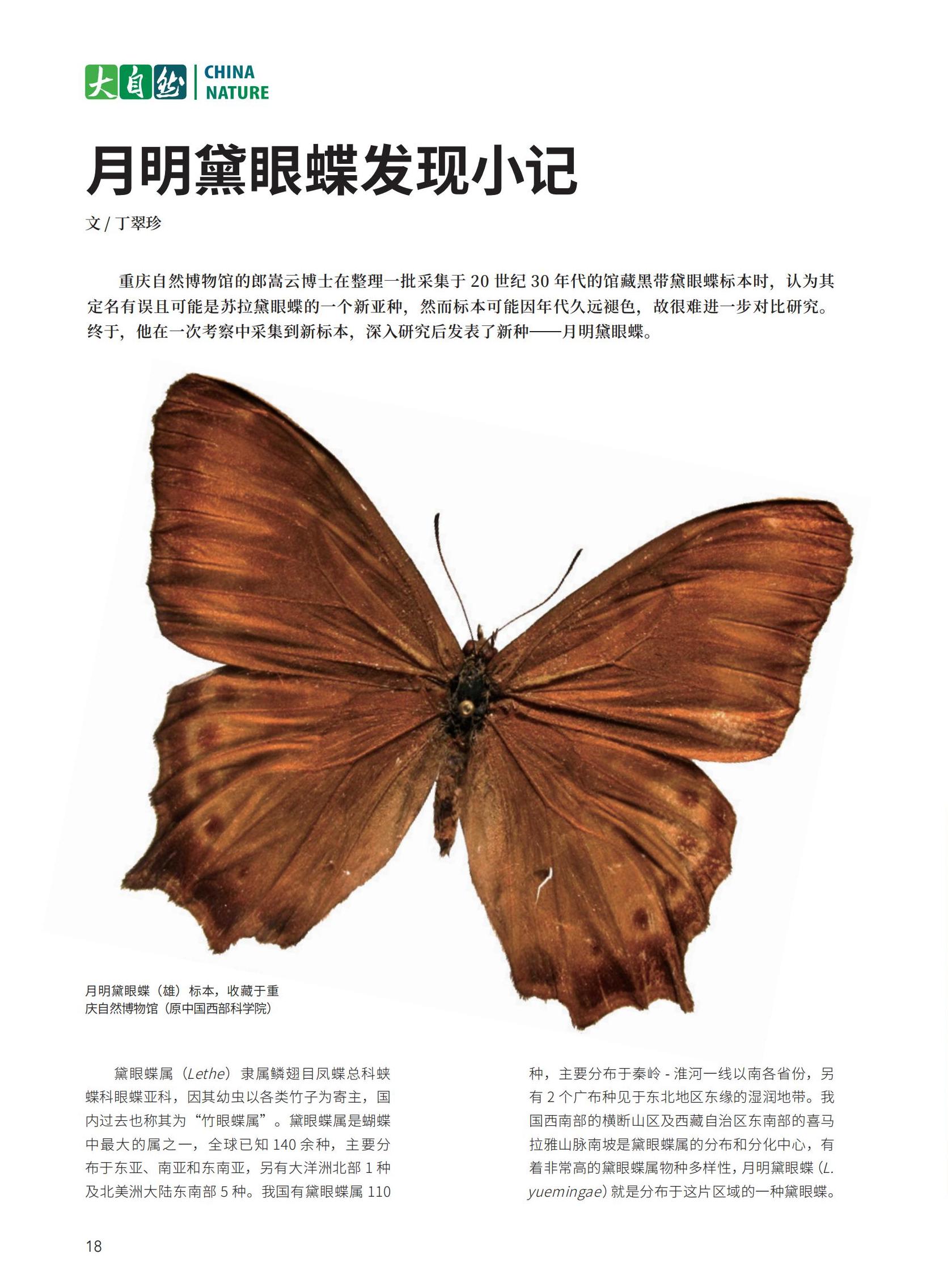 06-31新新新_12.jpg