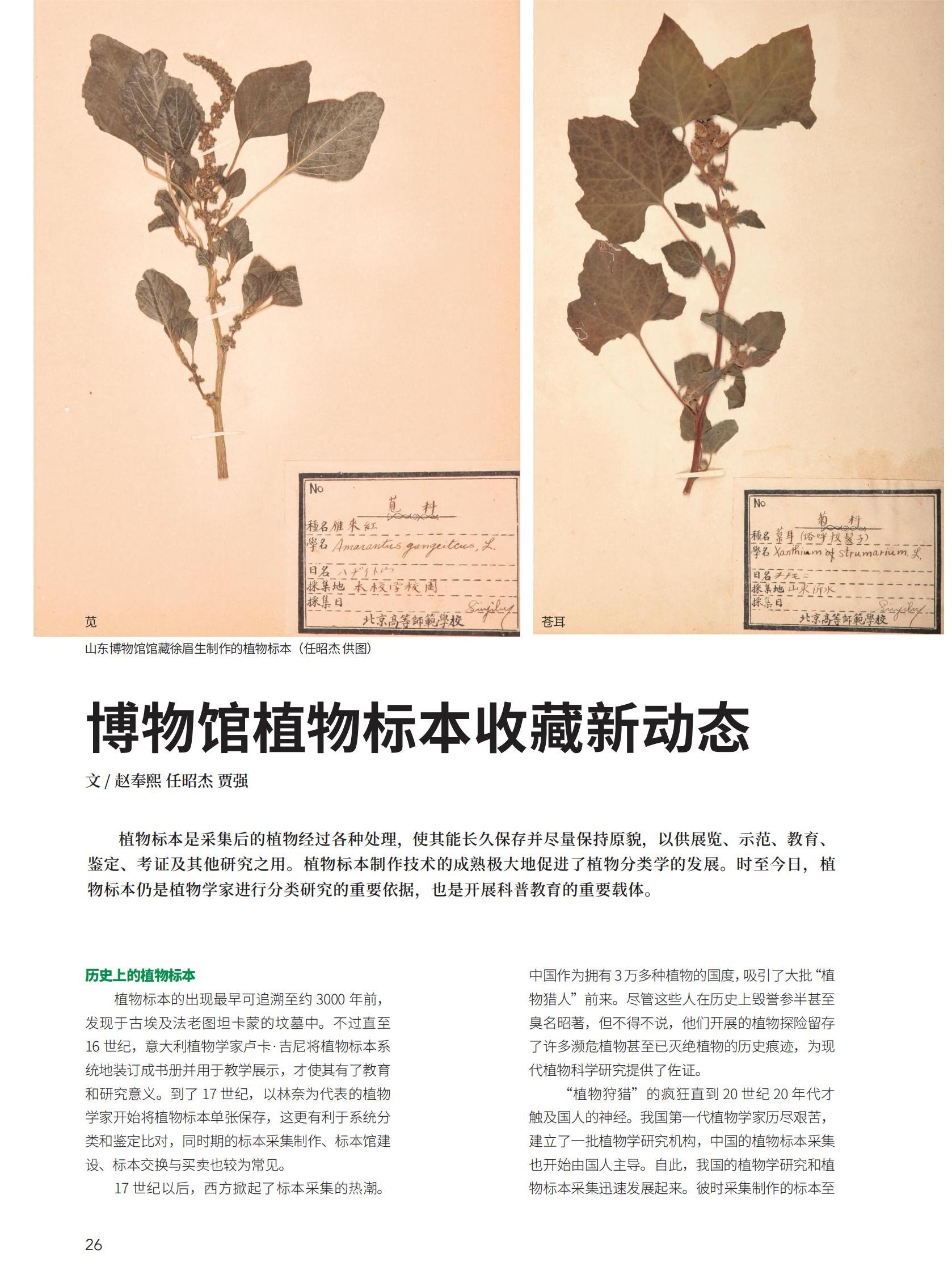 06-31新新新_20.jpg