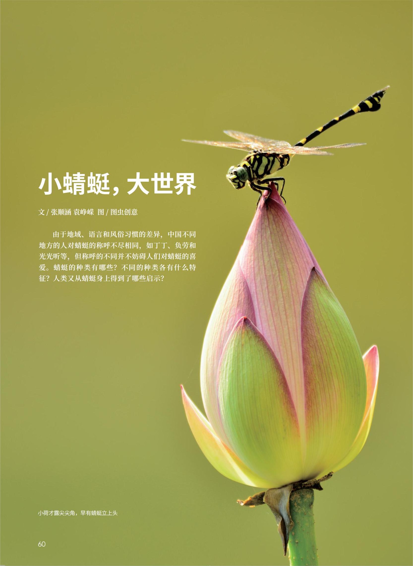 60-63新_00.jpg