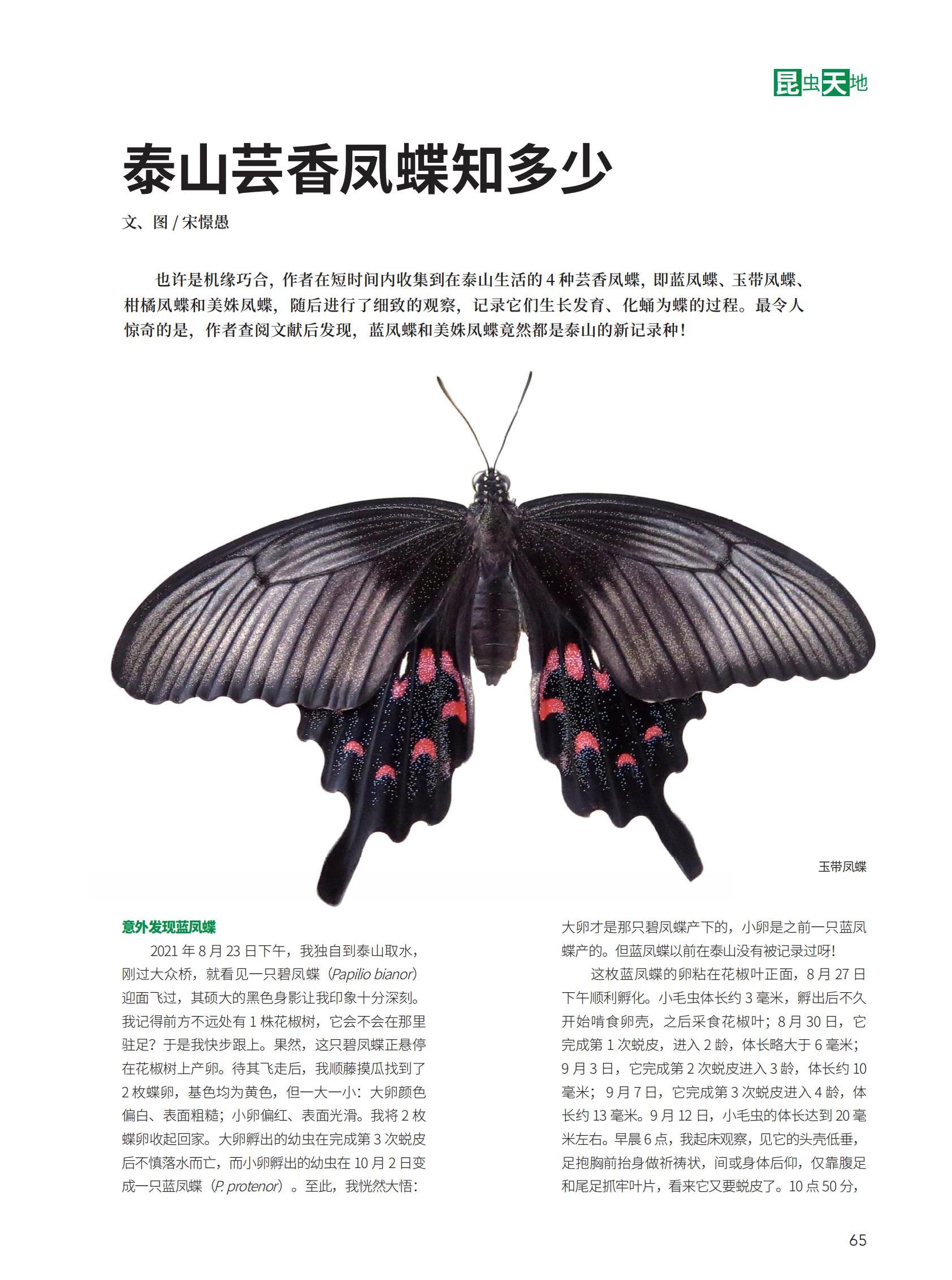 64-69新_01.jpg