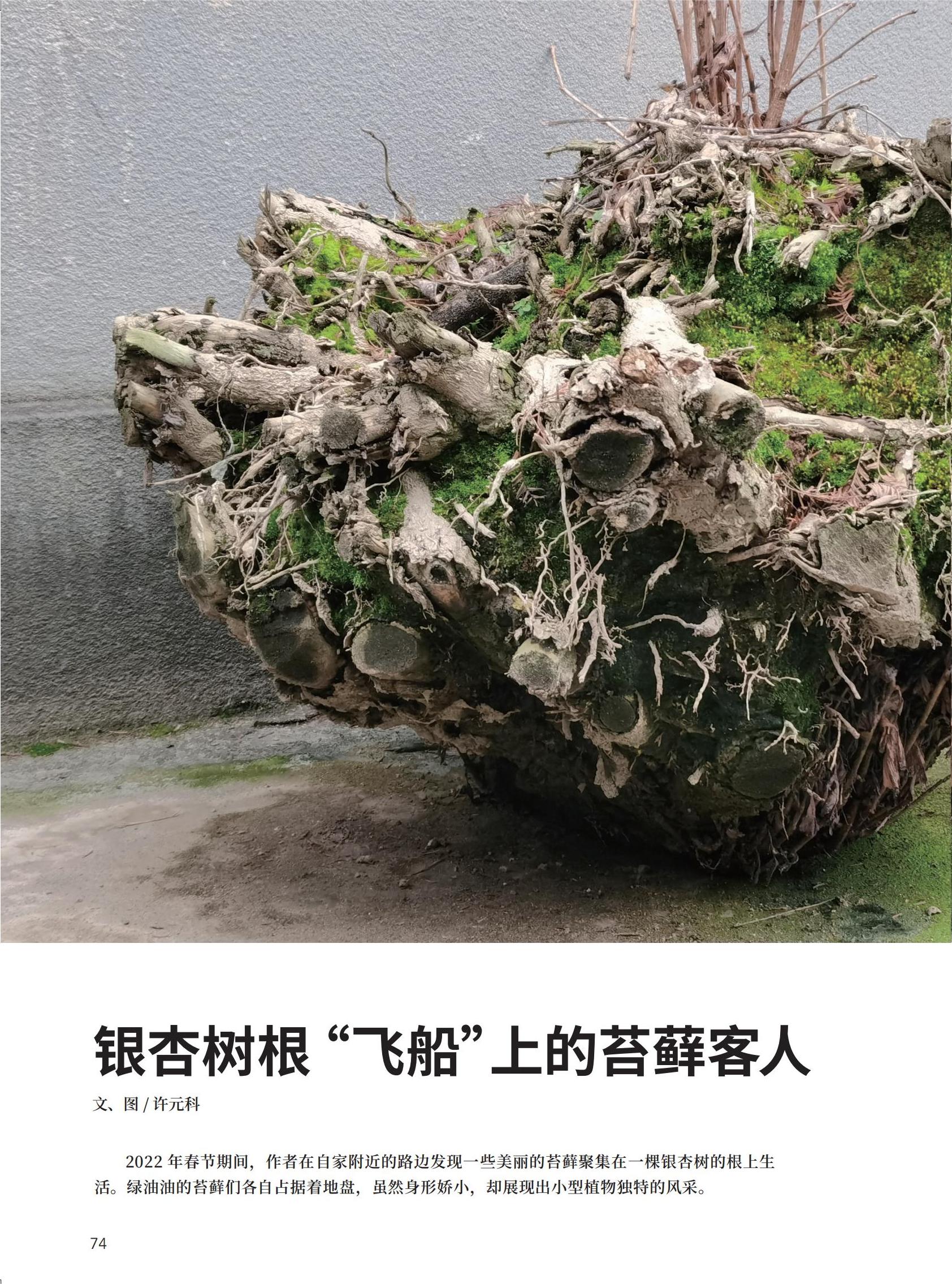 70-77新新_04.jpg