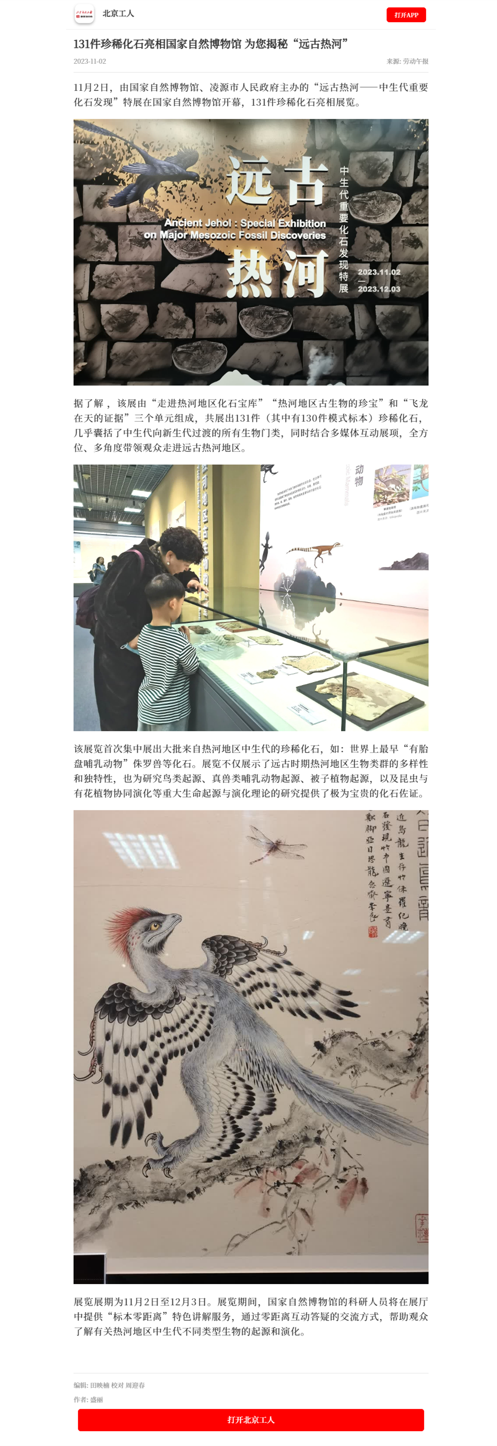 131件珍稀化石亮相国家自然博物馆 为您揭秘“远古热河”.png