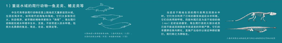 c798a170b87d93cf3f1ce091552f756b.png