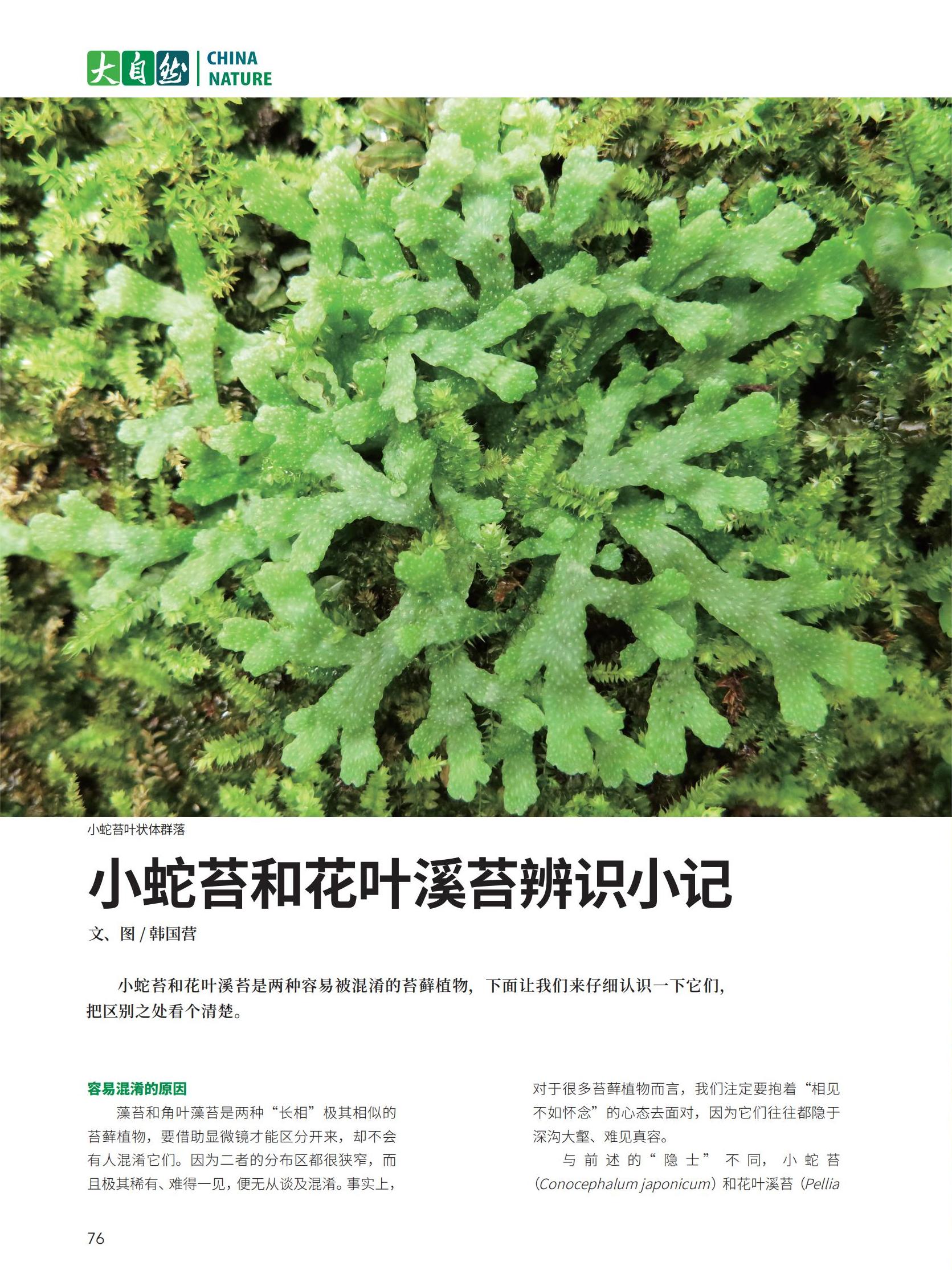 68-F3新新新_08.jpg