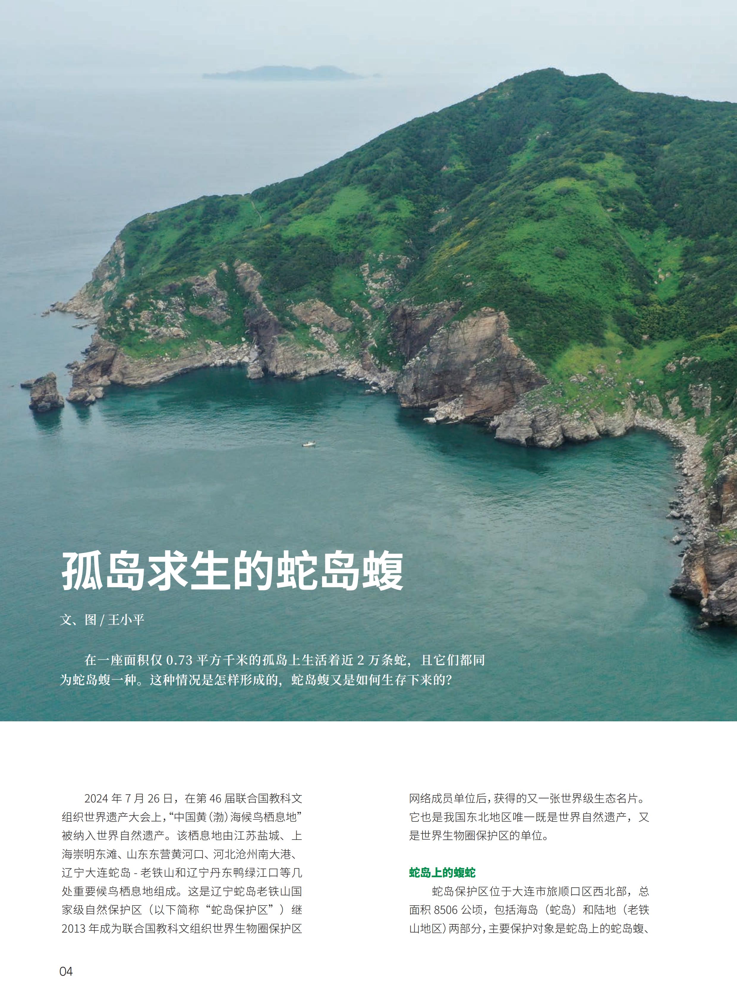 4.29-D-大自然-3#-电子书_05.jpg
