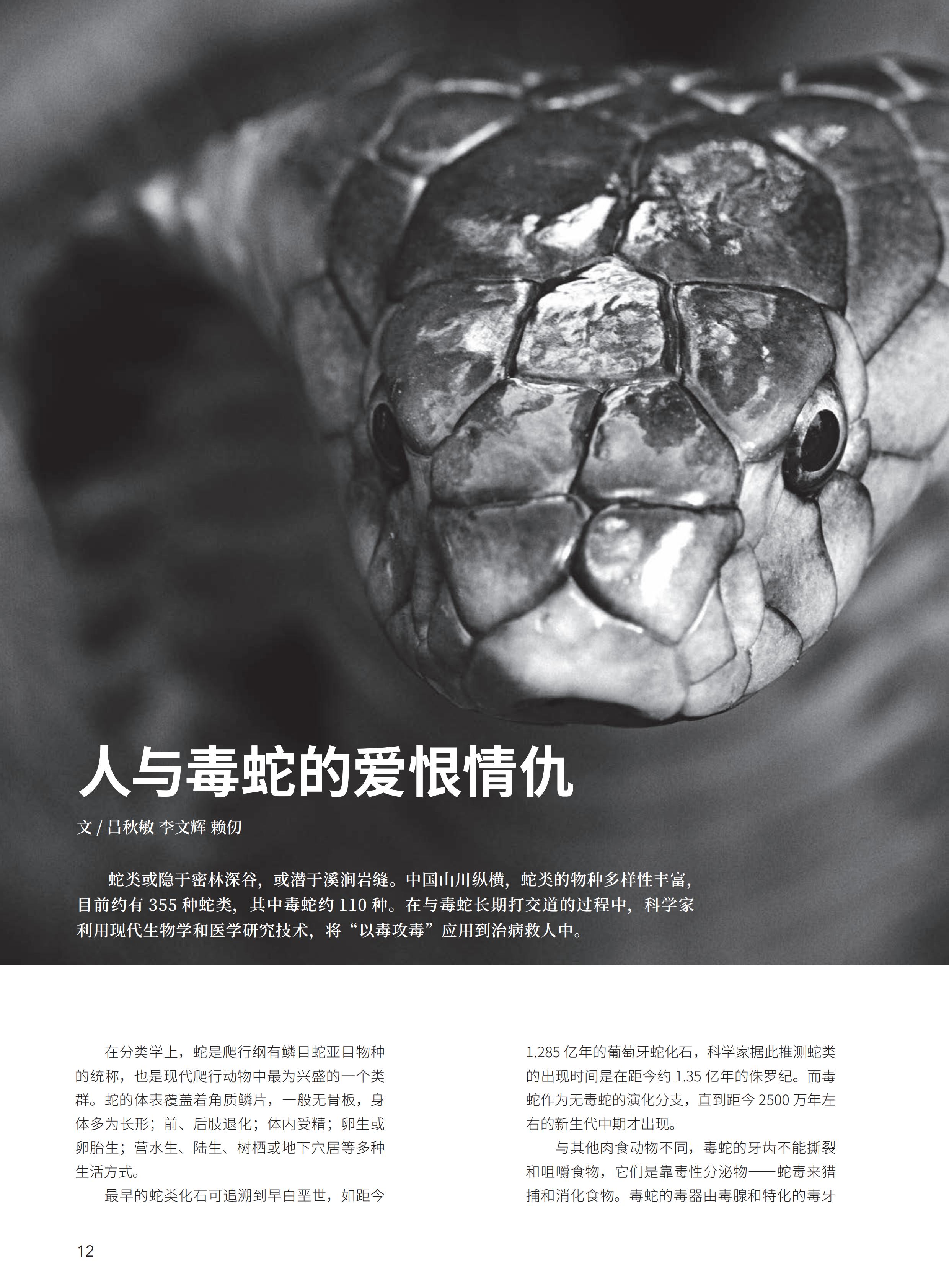 4.29-D-大自然-3#-电子书_13.jpg