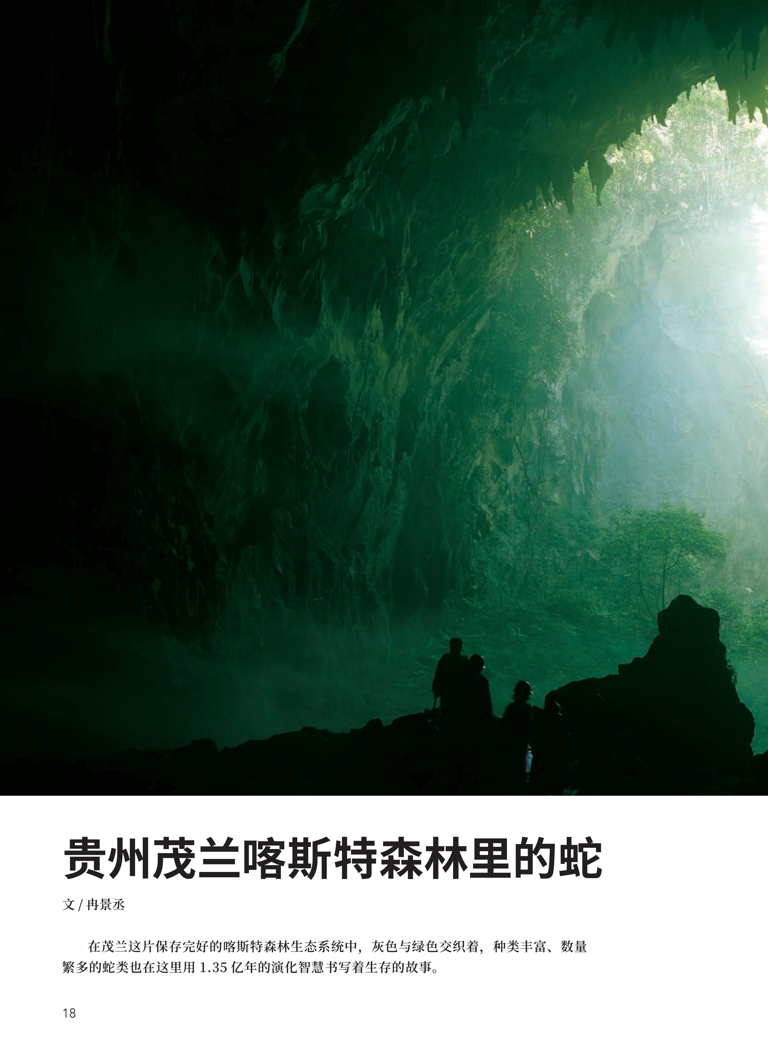 4.29-D-大自然-3#-电子书_19.jpg