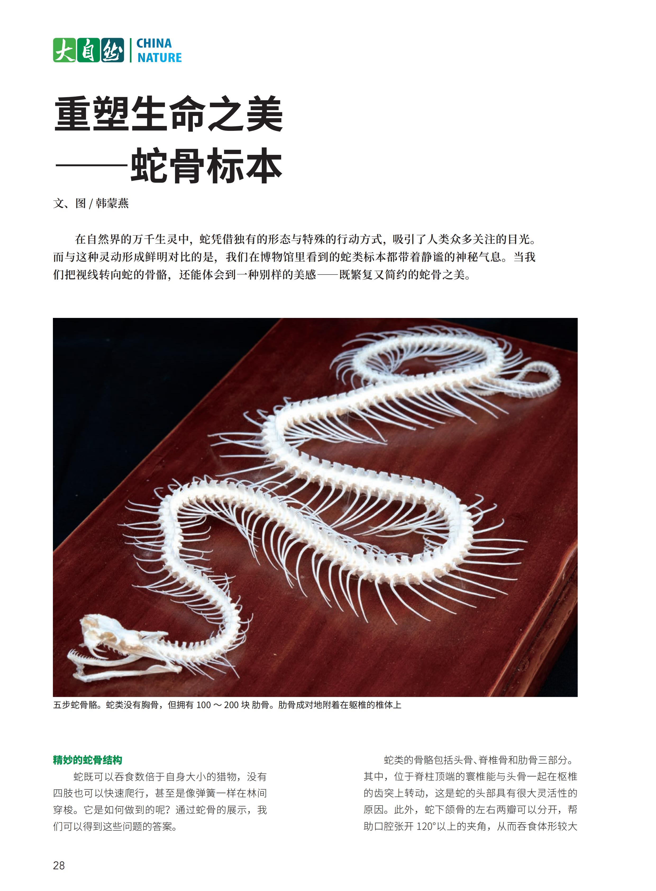 4.29-D-大自然-3#-电子书_29.jpg