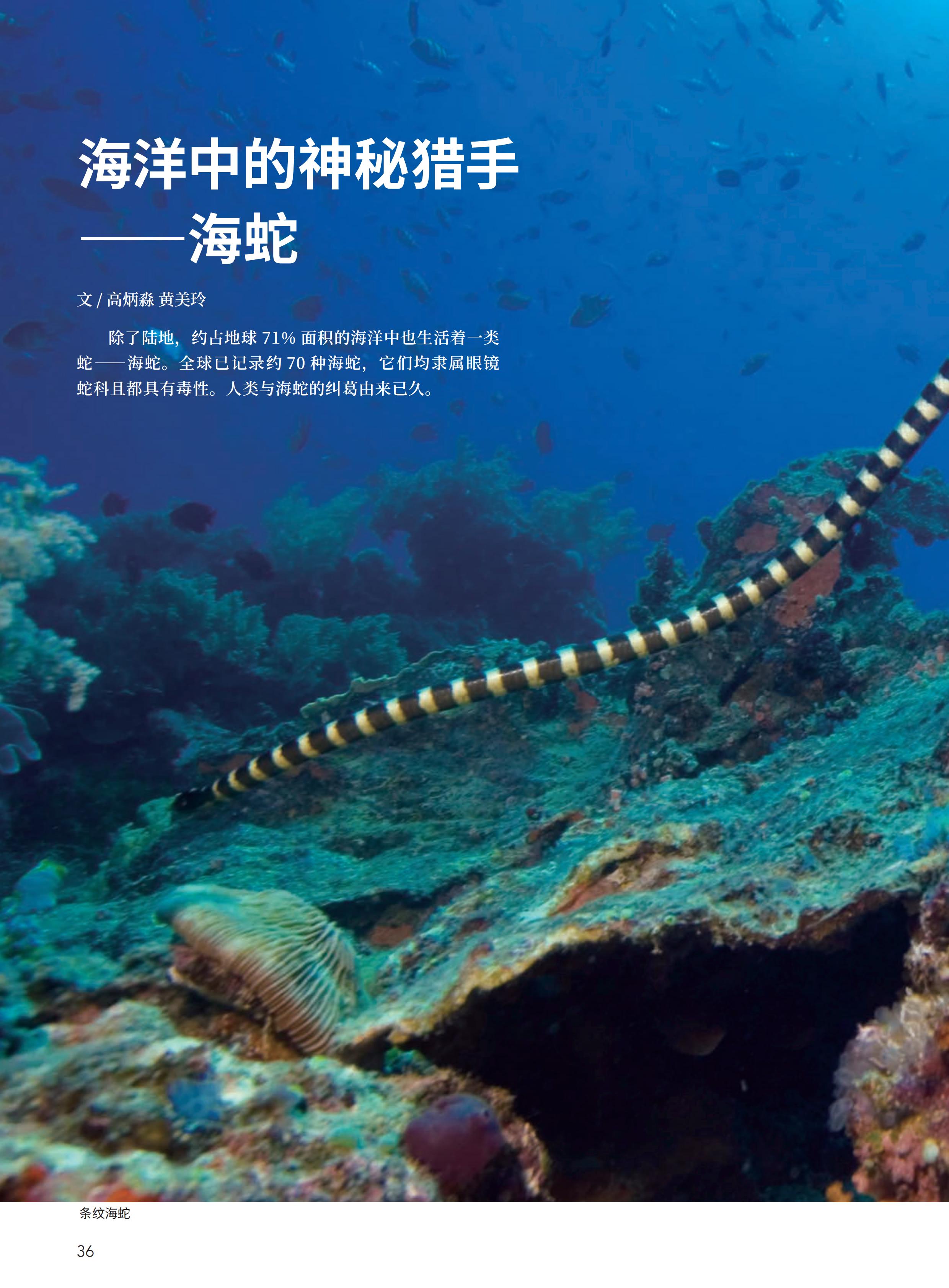 4.29-D-大自然-3#-电子书_37.jpg