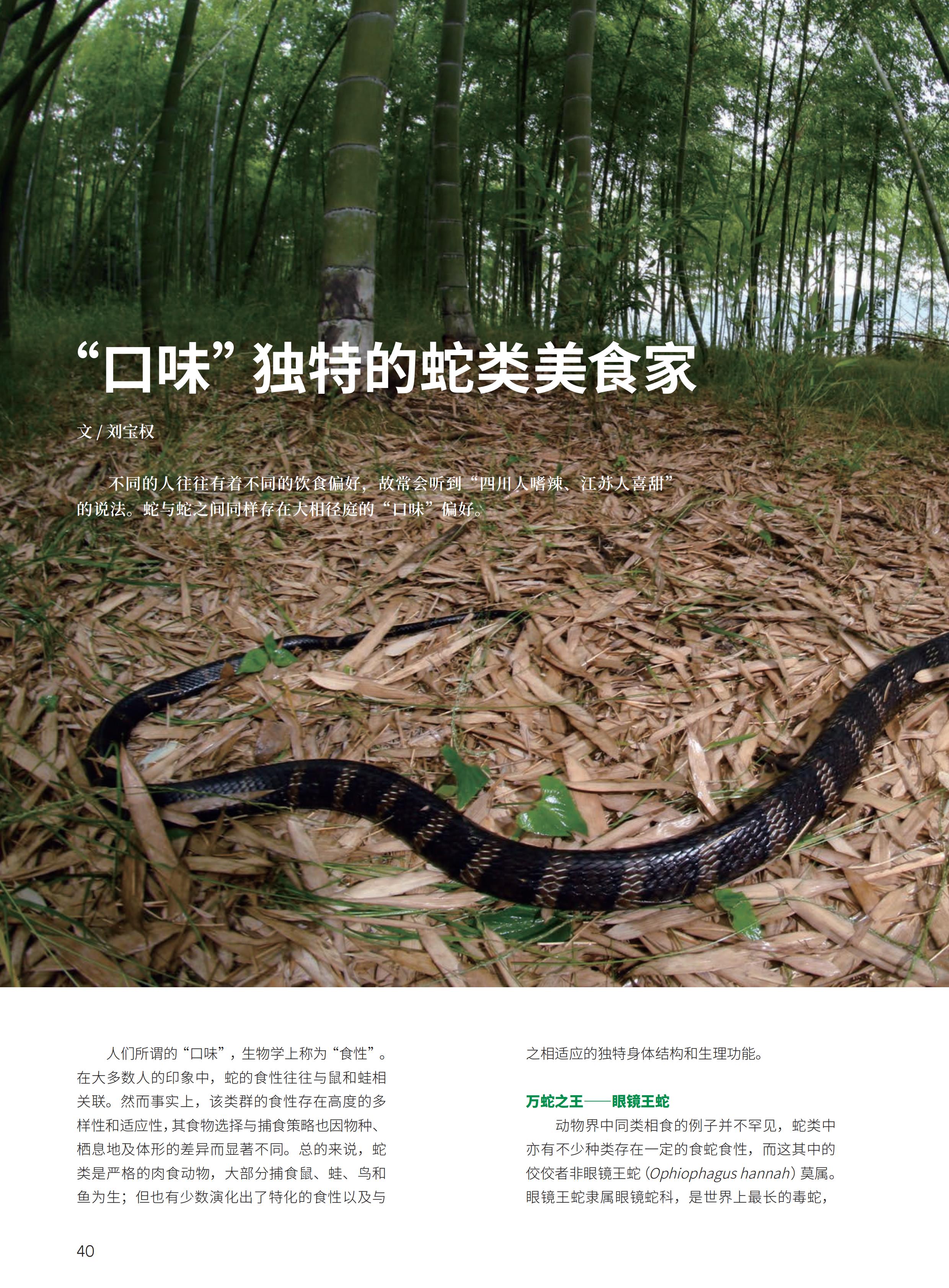 4.29-D-大自然-3#-电子书_41.jpg