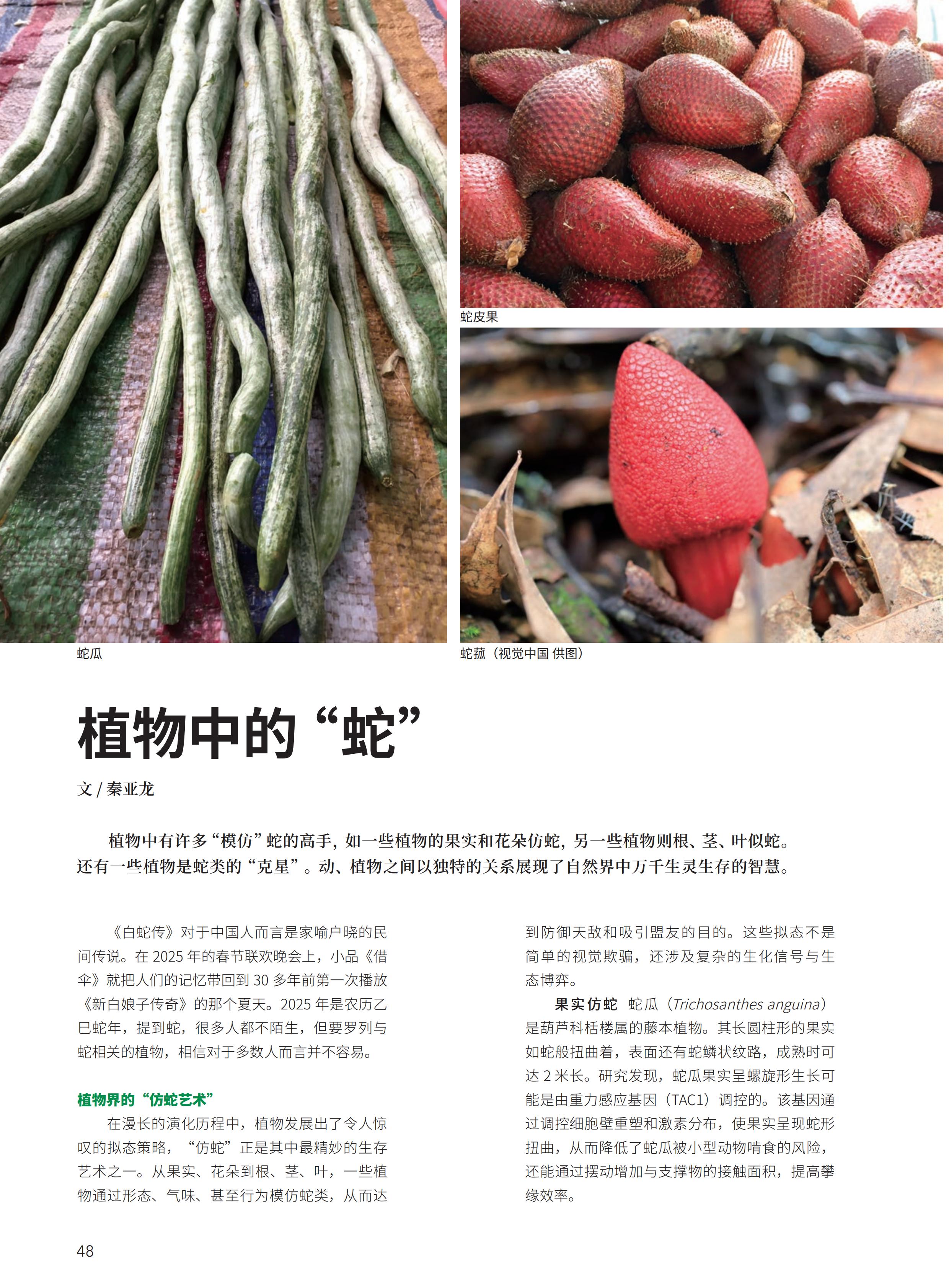4.29-D-大自然-3#-电子书_49.jpg