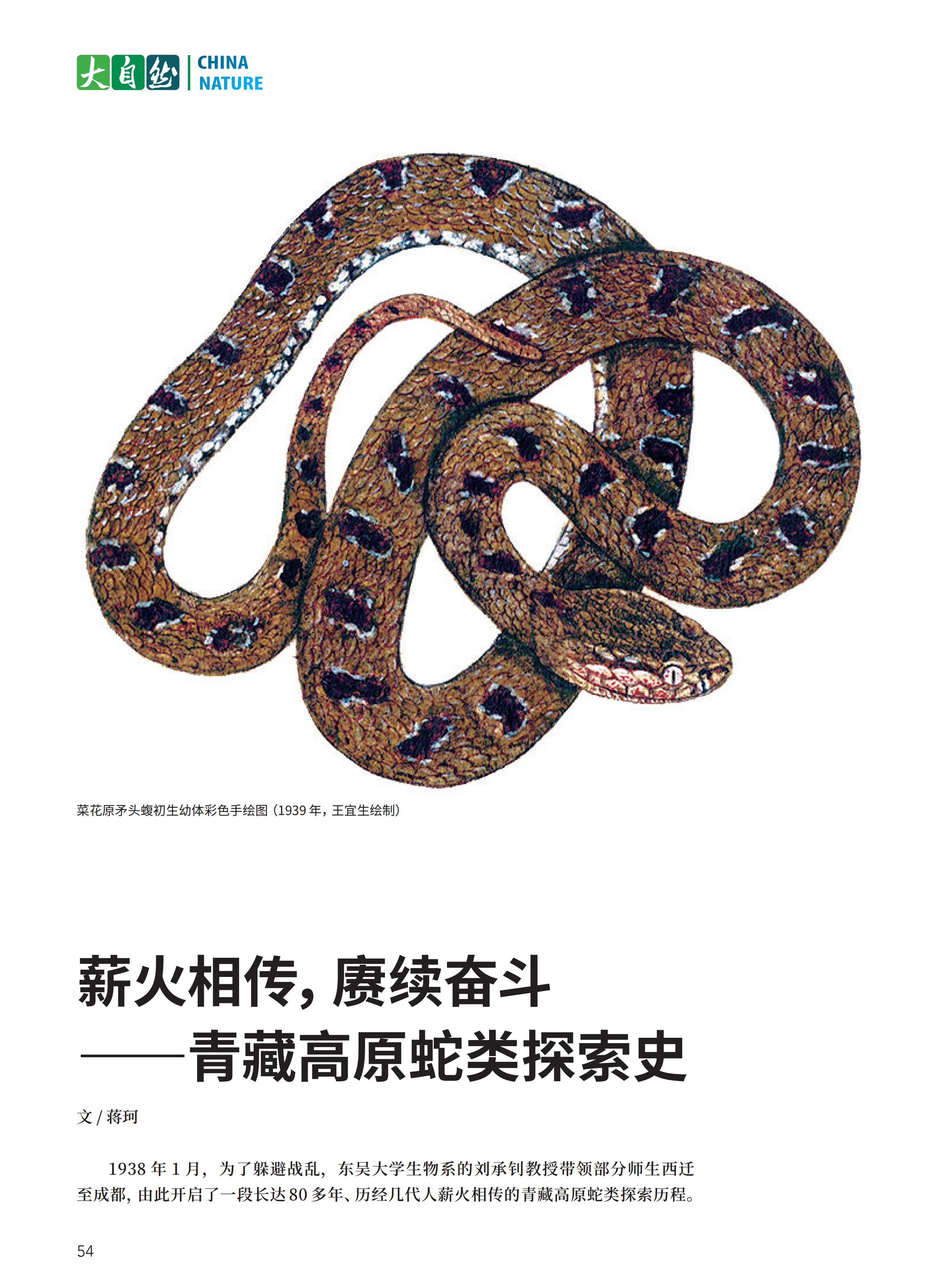 4.29-D-大自然-3#-电子书_55.jpg