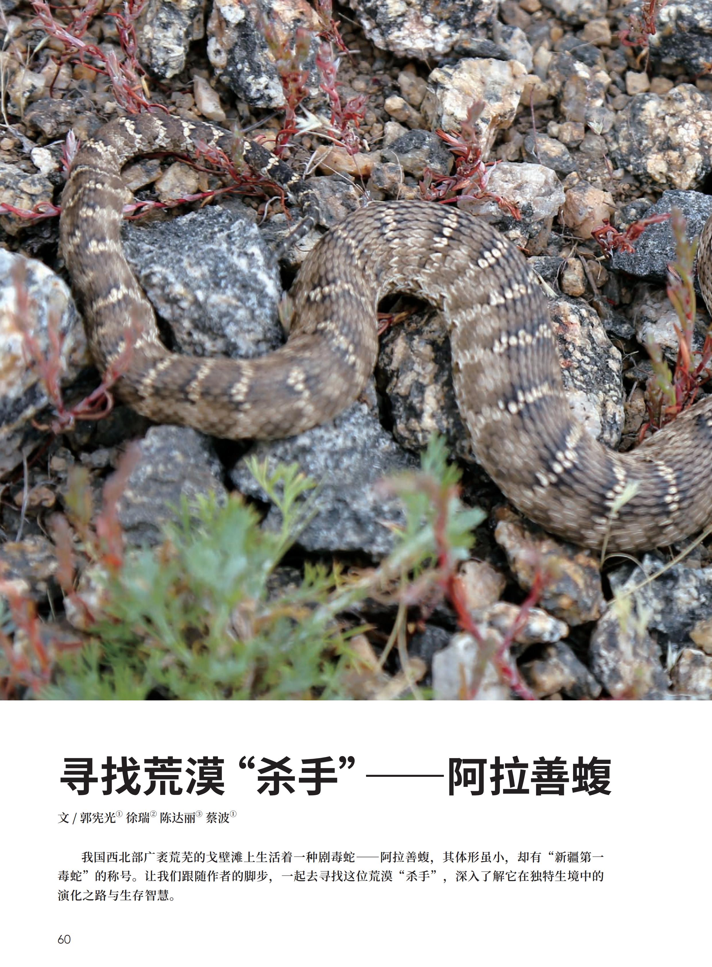 4.29-D-大自然-3#-电子书_61.jpg