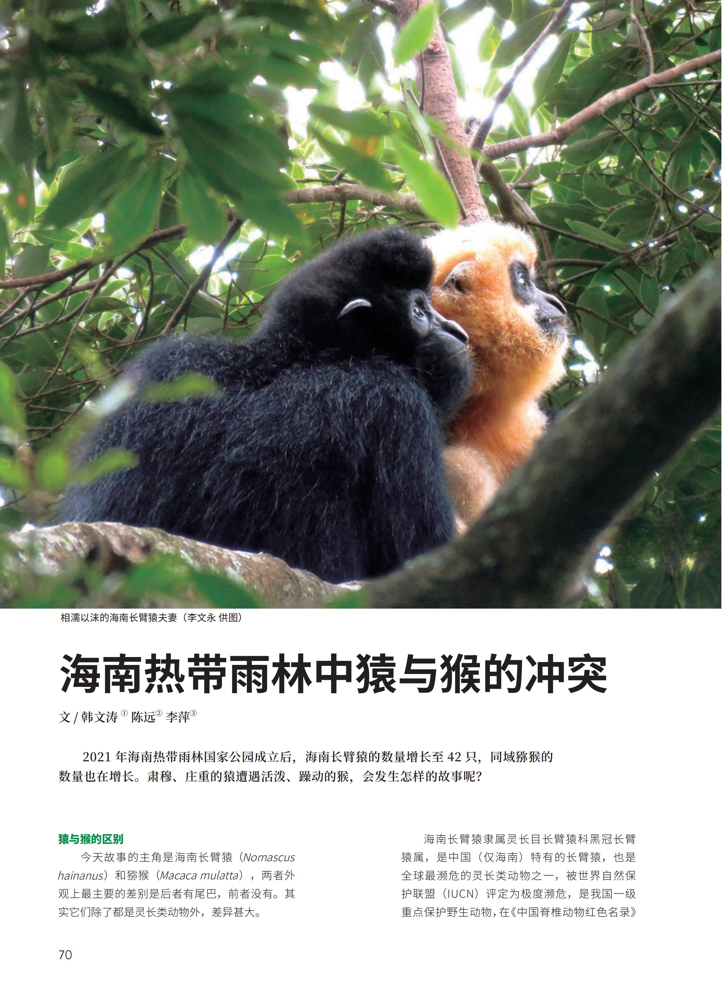 4.29-D-大自然-3#-电子书_71.jpg