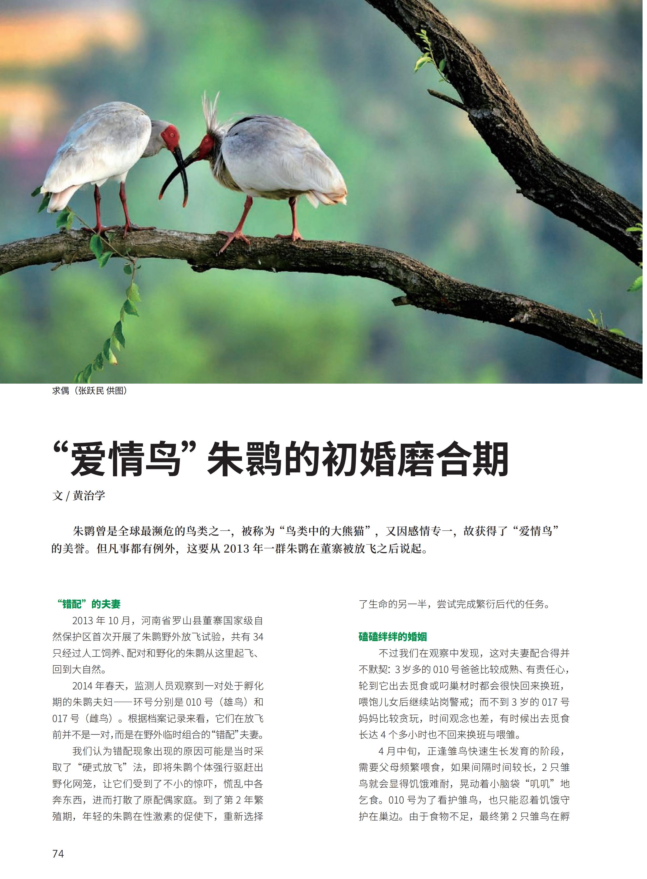 4.29-D-大自然-3#-电子书_75.jpg