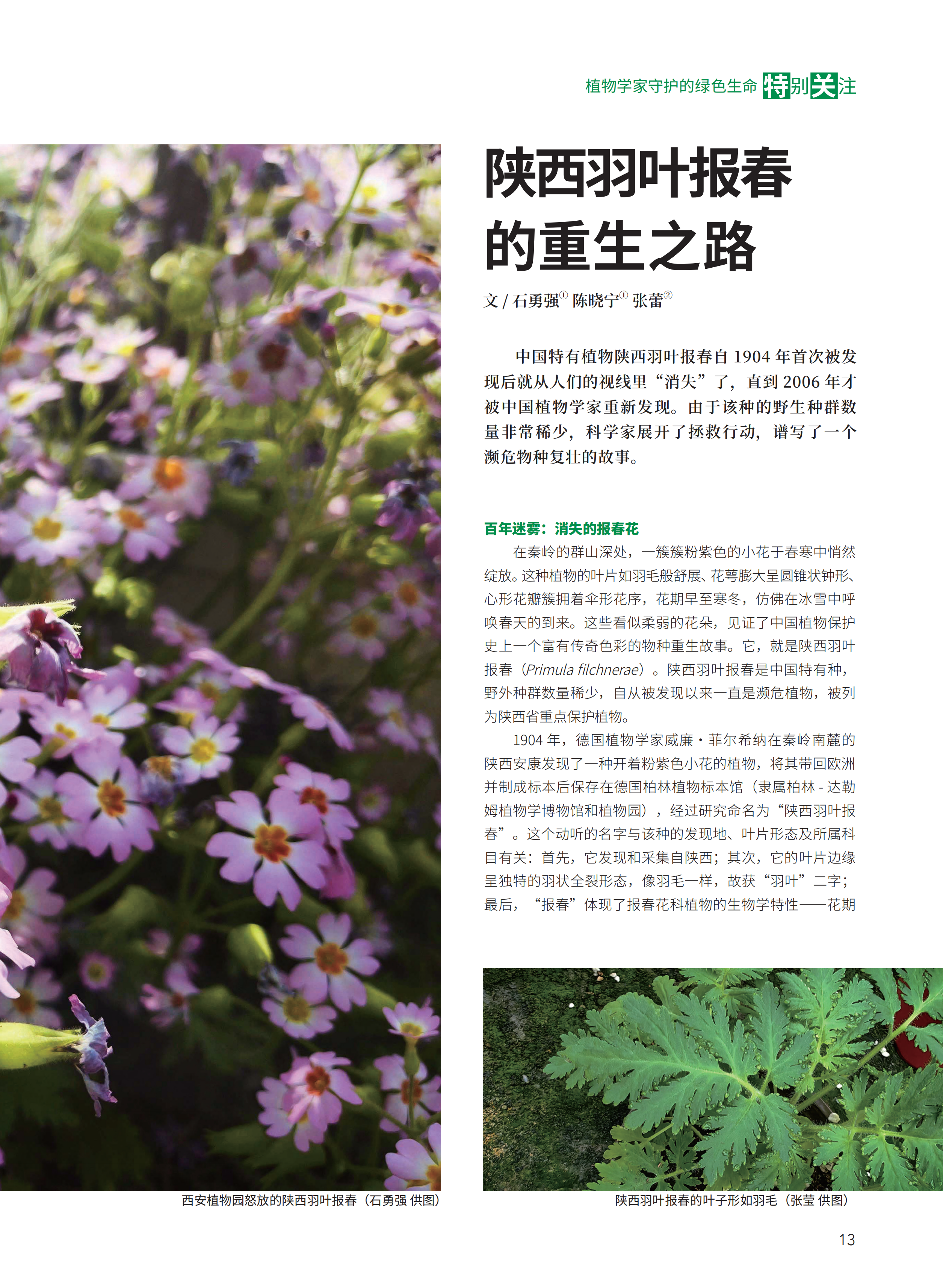 2025-4内文_13.png