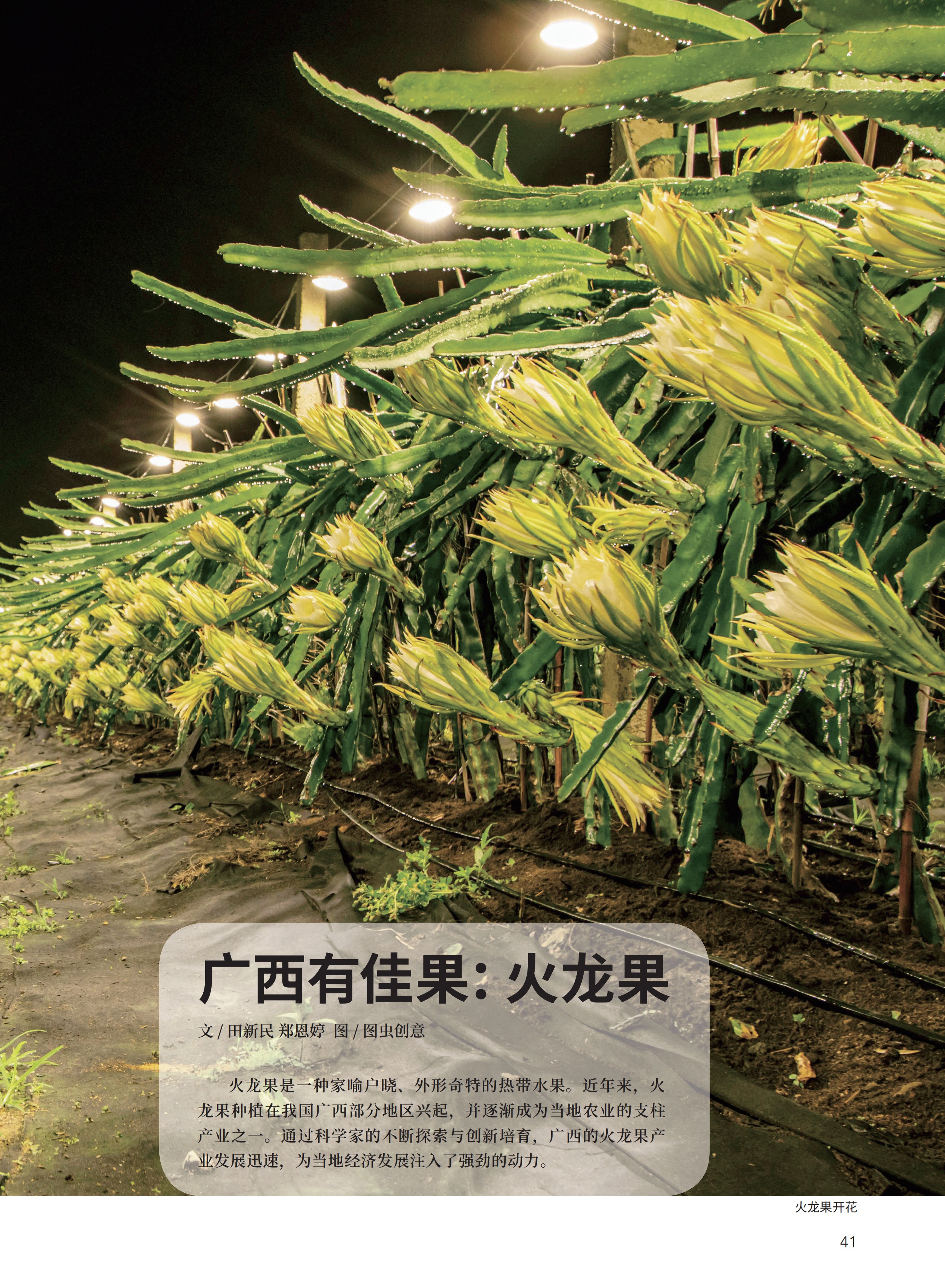 2025-4内文_41.jpg