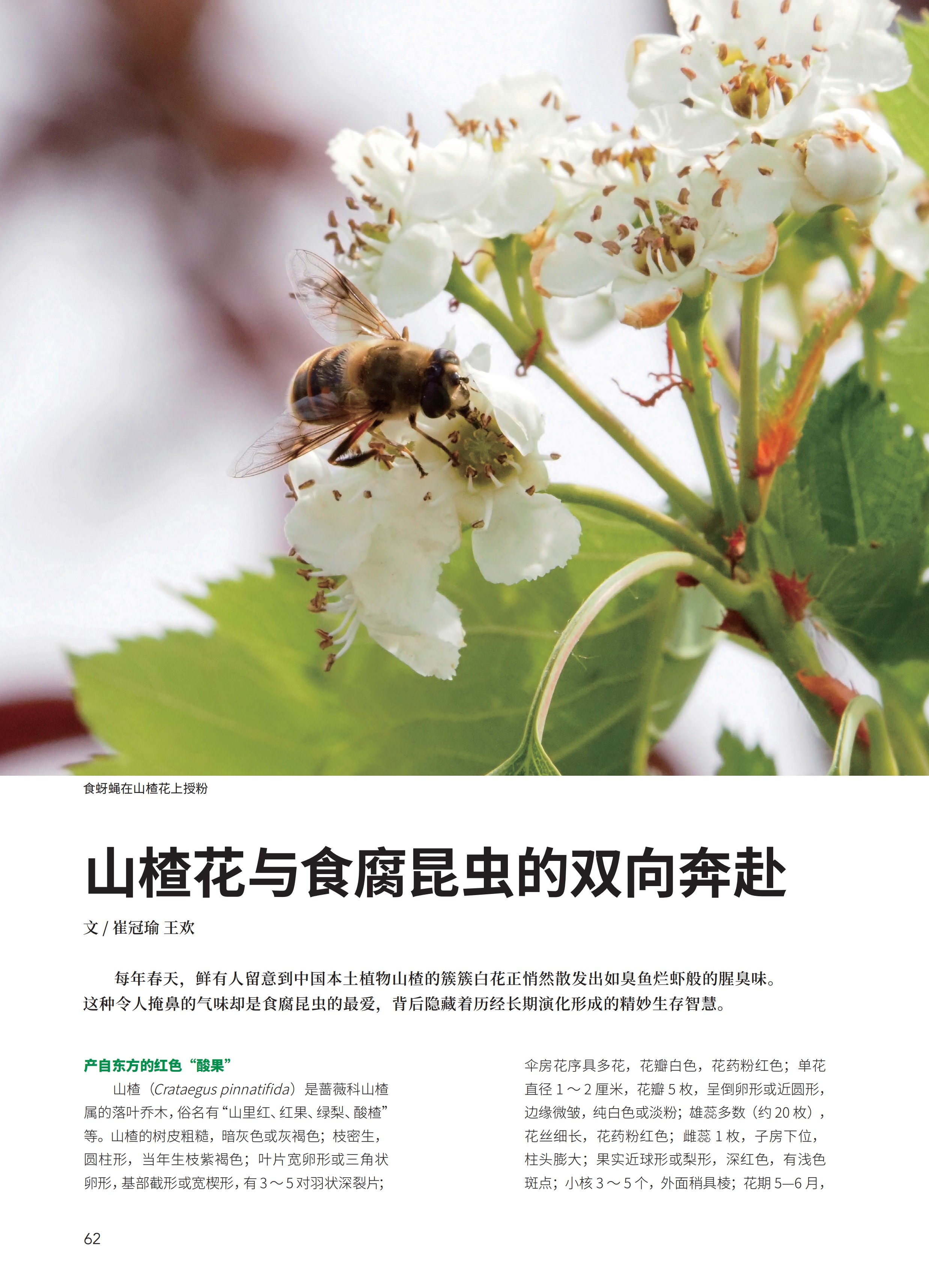 2025-4内文_62.jpg