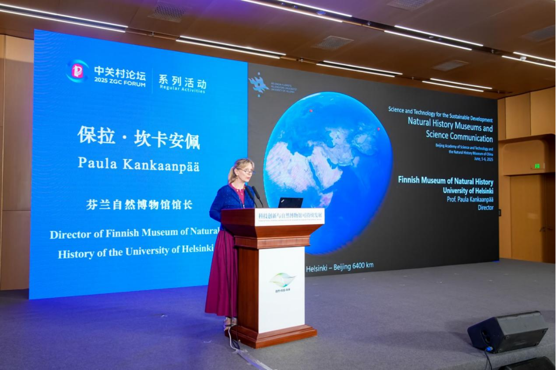 图片12.png