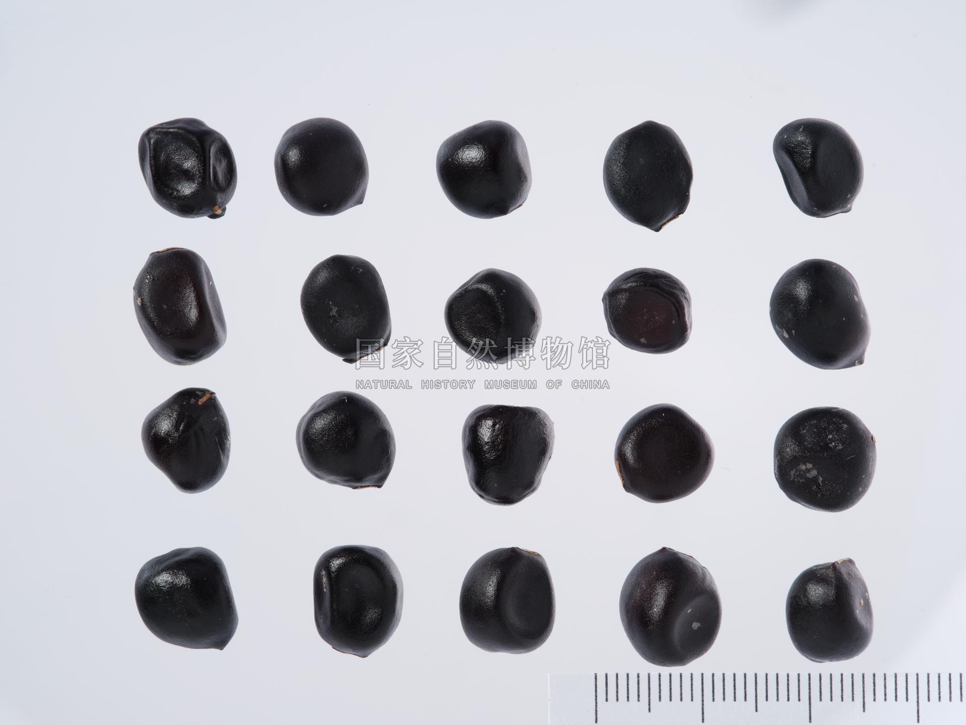 339912-A-03.jpg