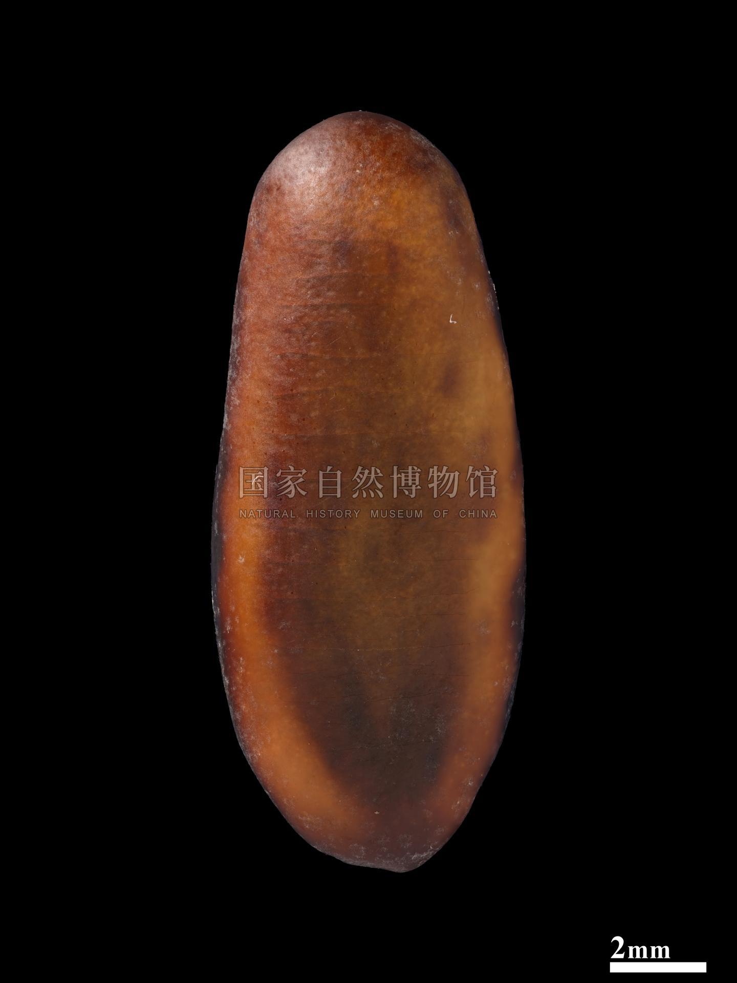 339861-A-04.jpg