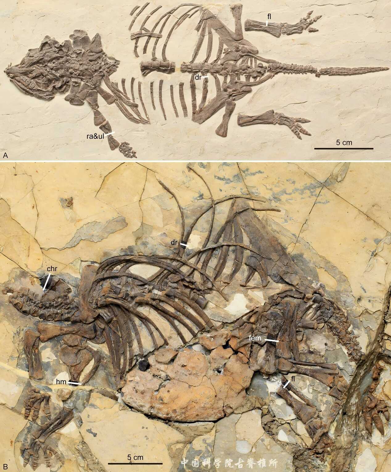 W020251028394252988627 (1).png