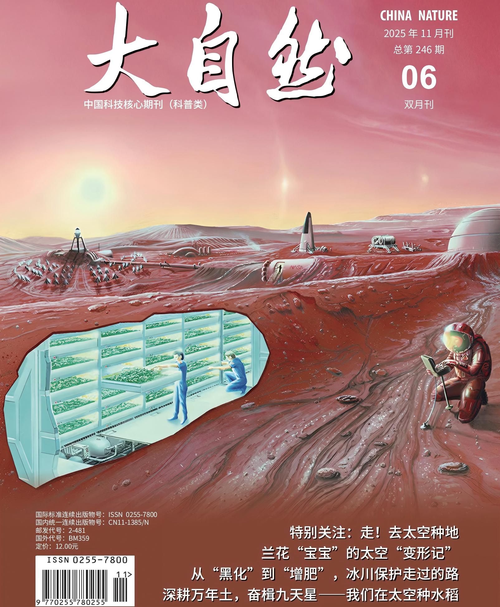 2025年第6期(总246期)