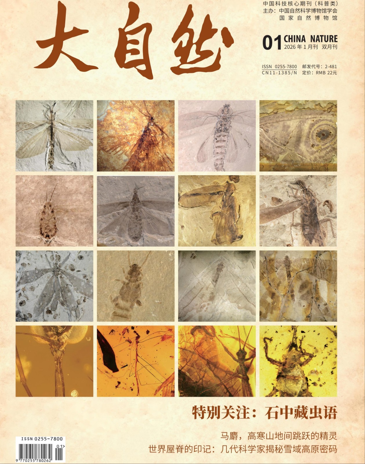 2026年第1期(总247期)