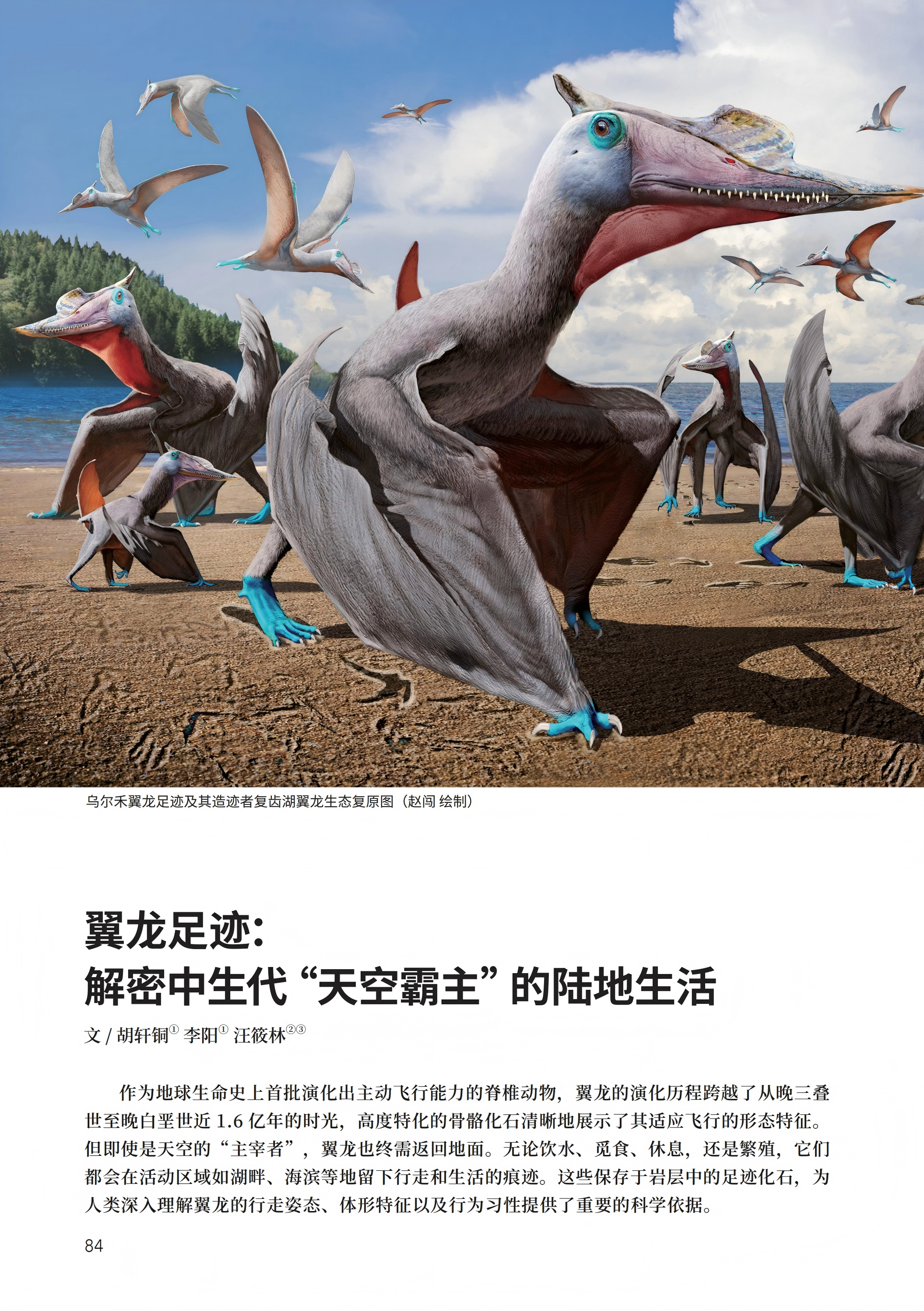 PDF合并_12.jpg
